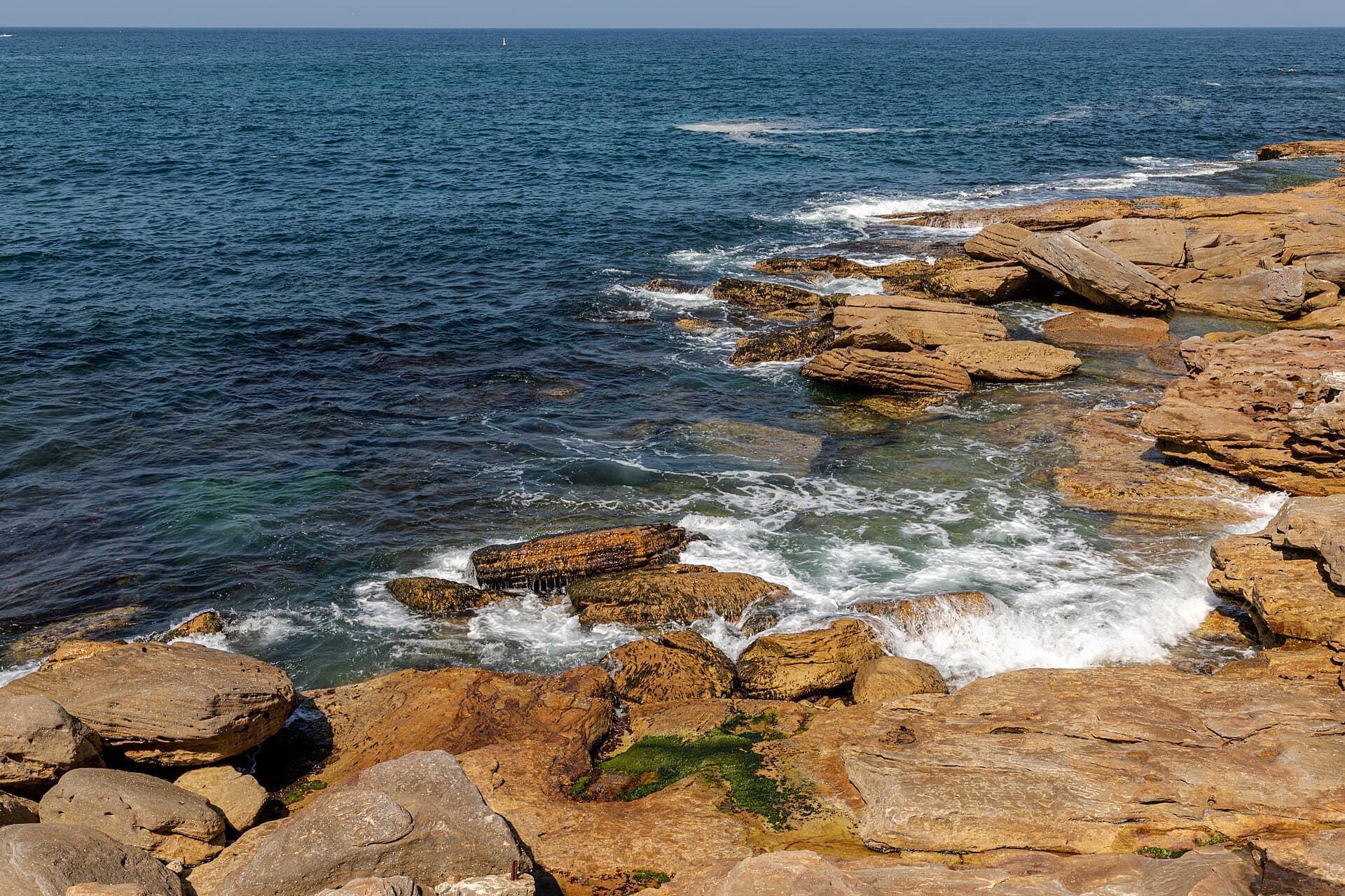 Things to Do in Bondi, Sydney: The Local Guide