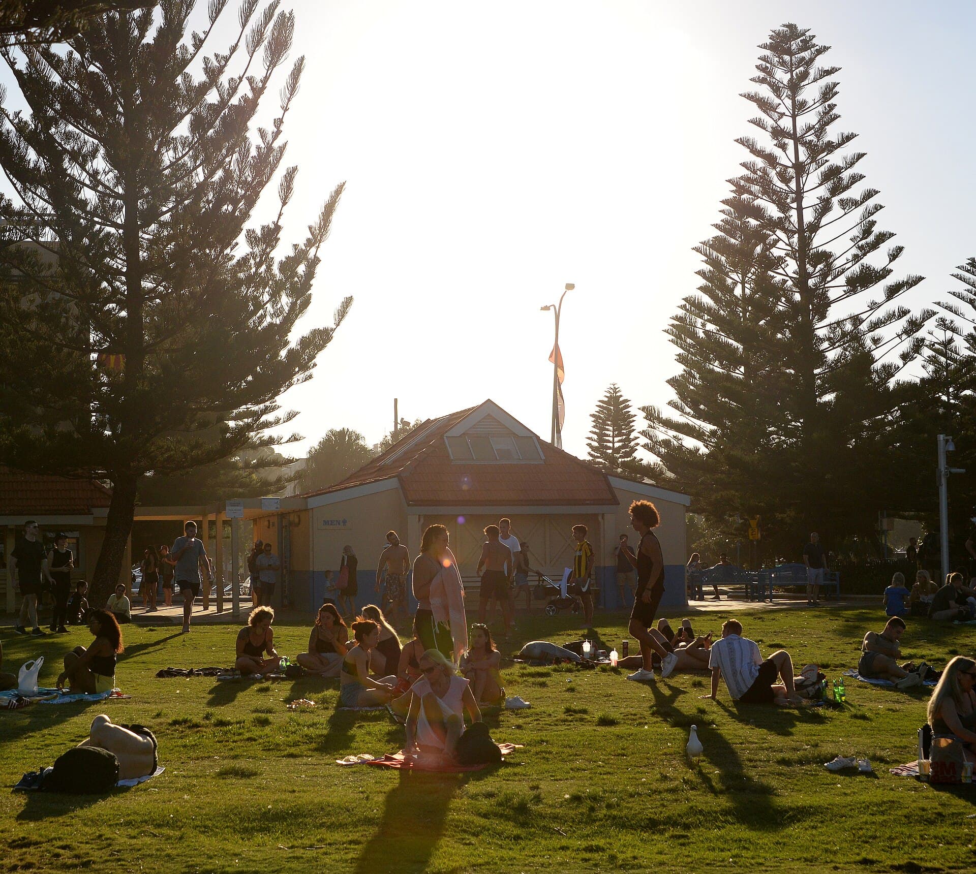 Things to Do in Coogee, Sydney: The Local Guide