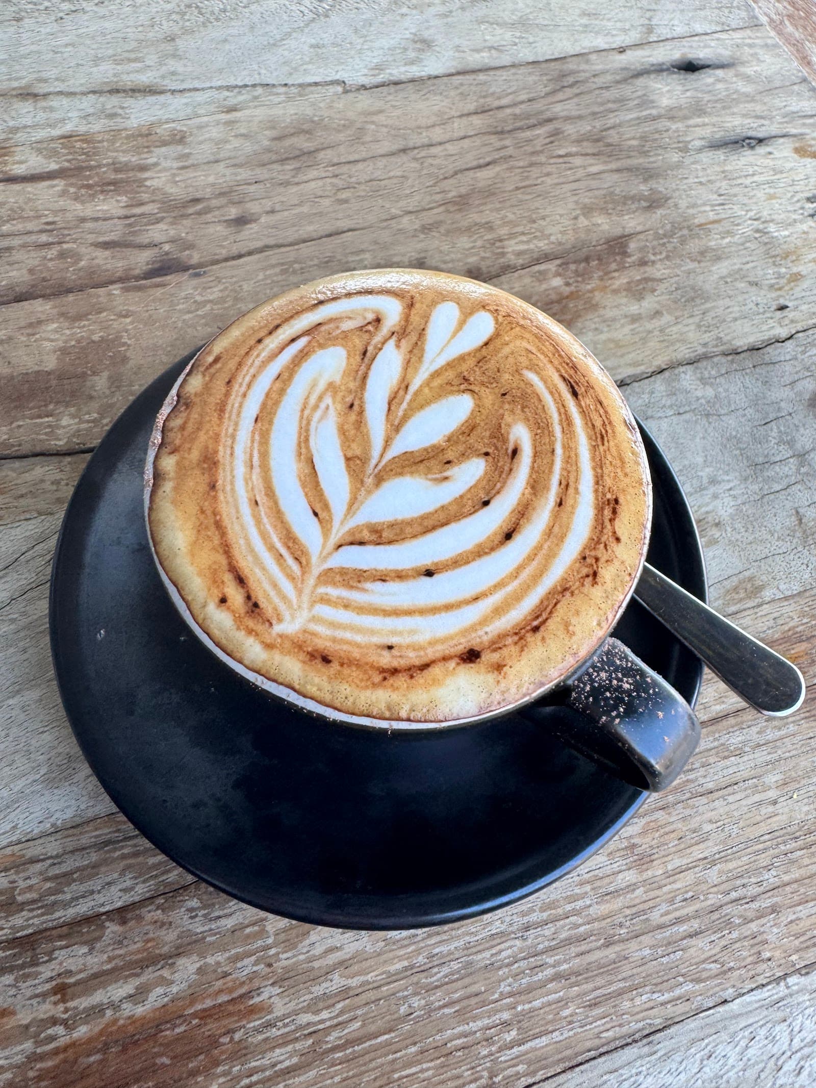 Cafe Newtown — Newtown, Sydney