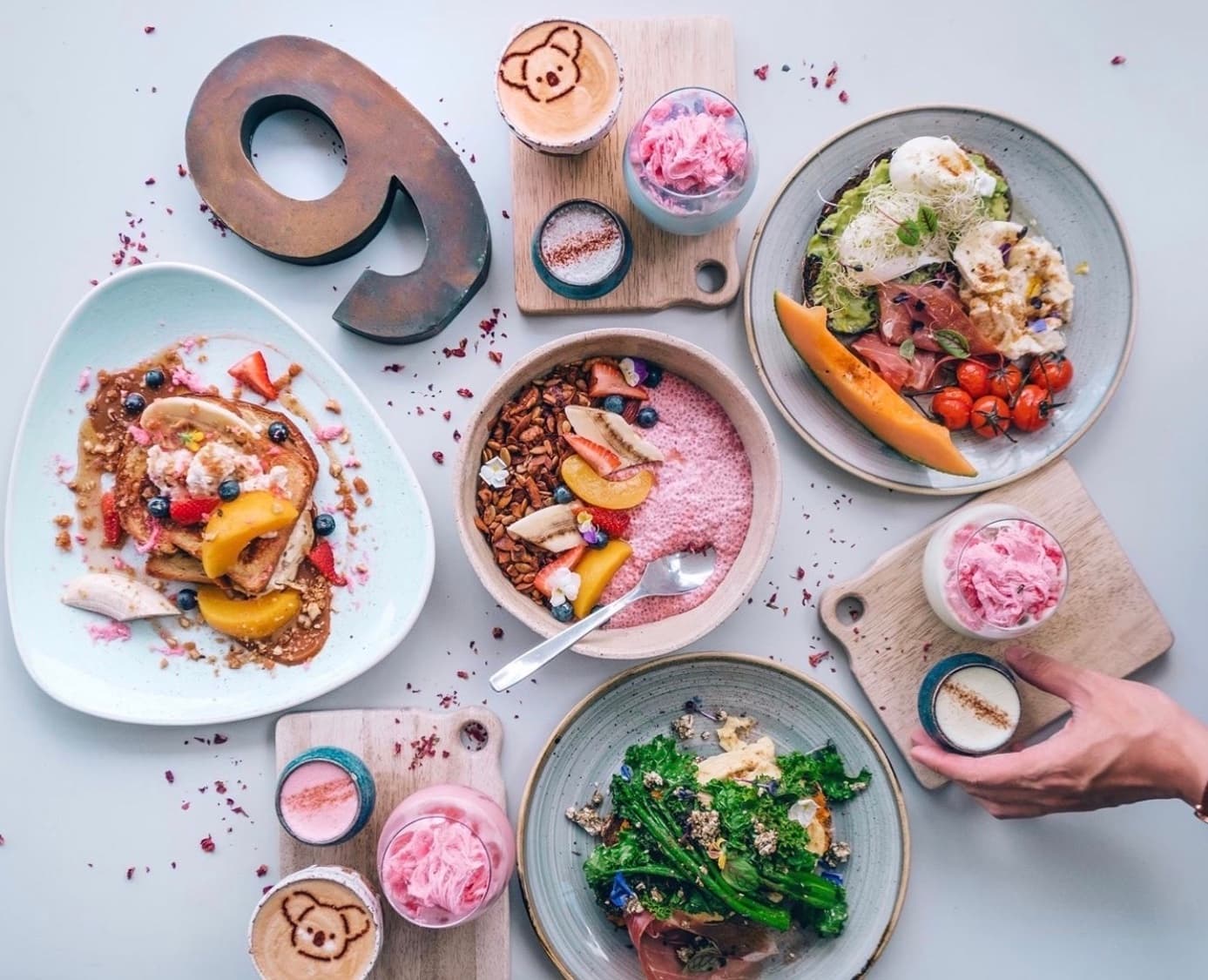 The Nine — Bondi, Sydney
