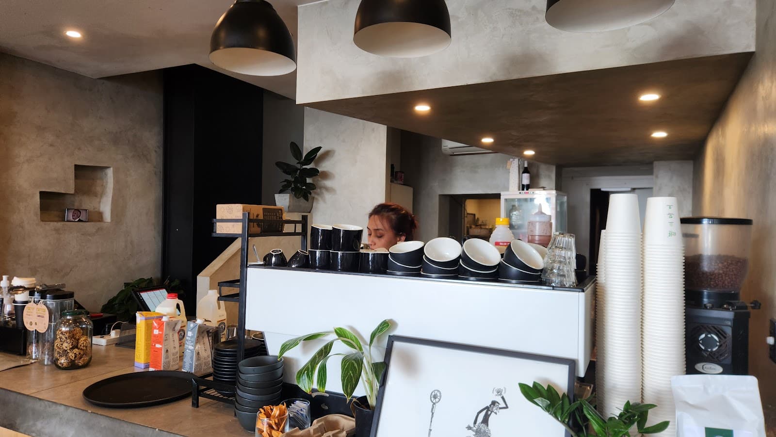 Wolfies — Manly, Sydney