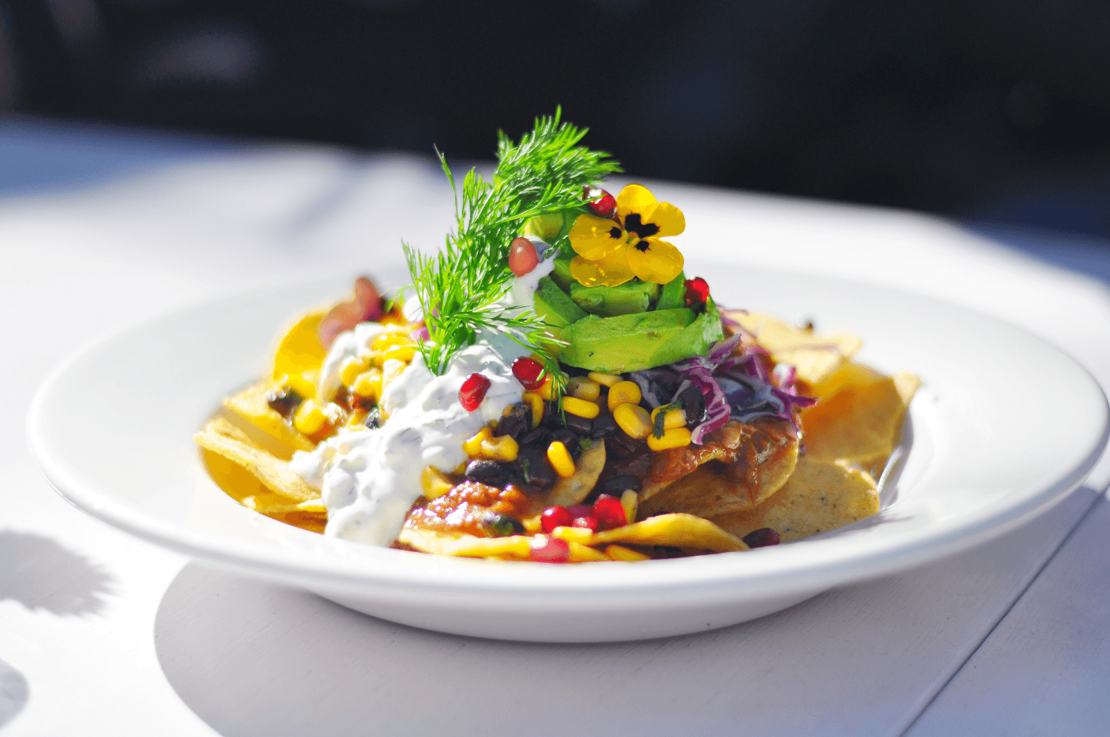 JOZO — Paddington, Sydney