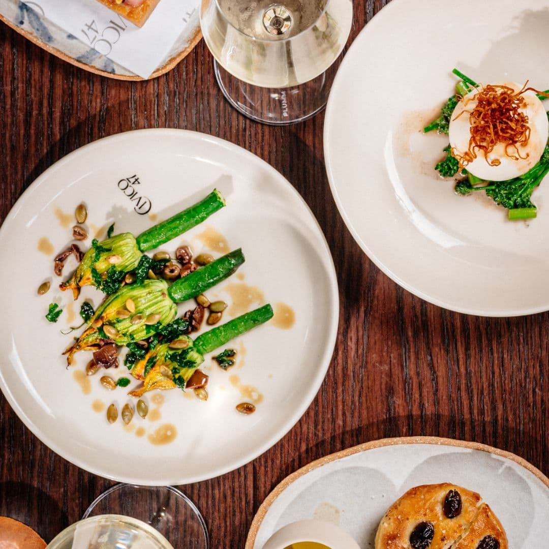 Civico 47 — Paddington, Sydney