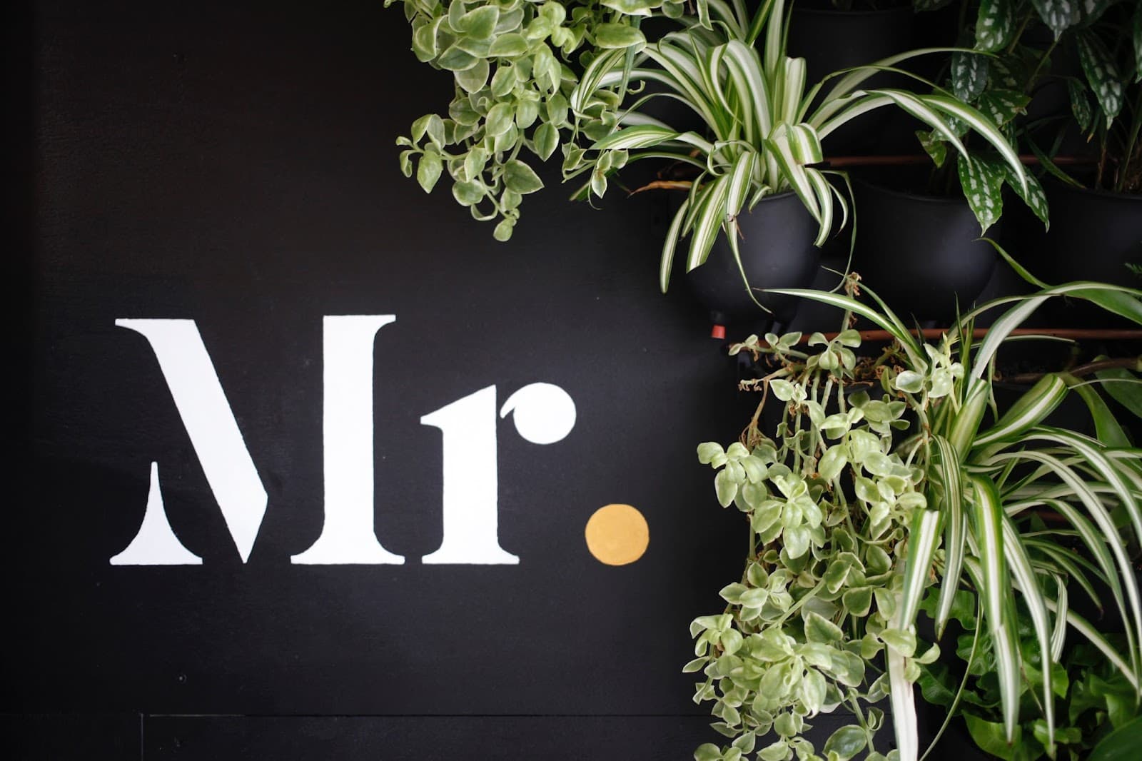 Mr.H Cafe and bar — Balmain, Sydney