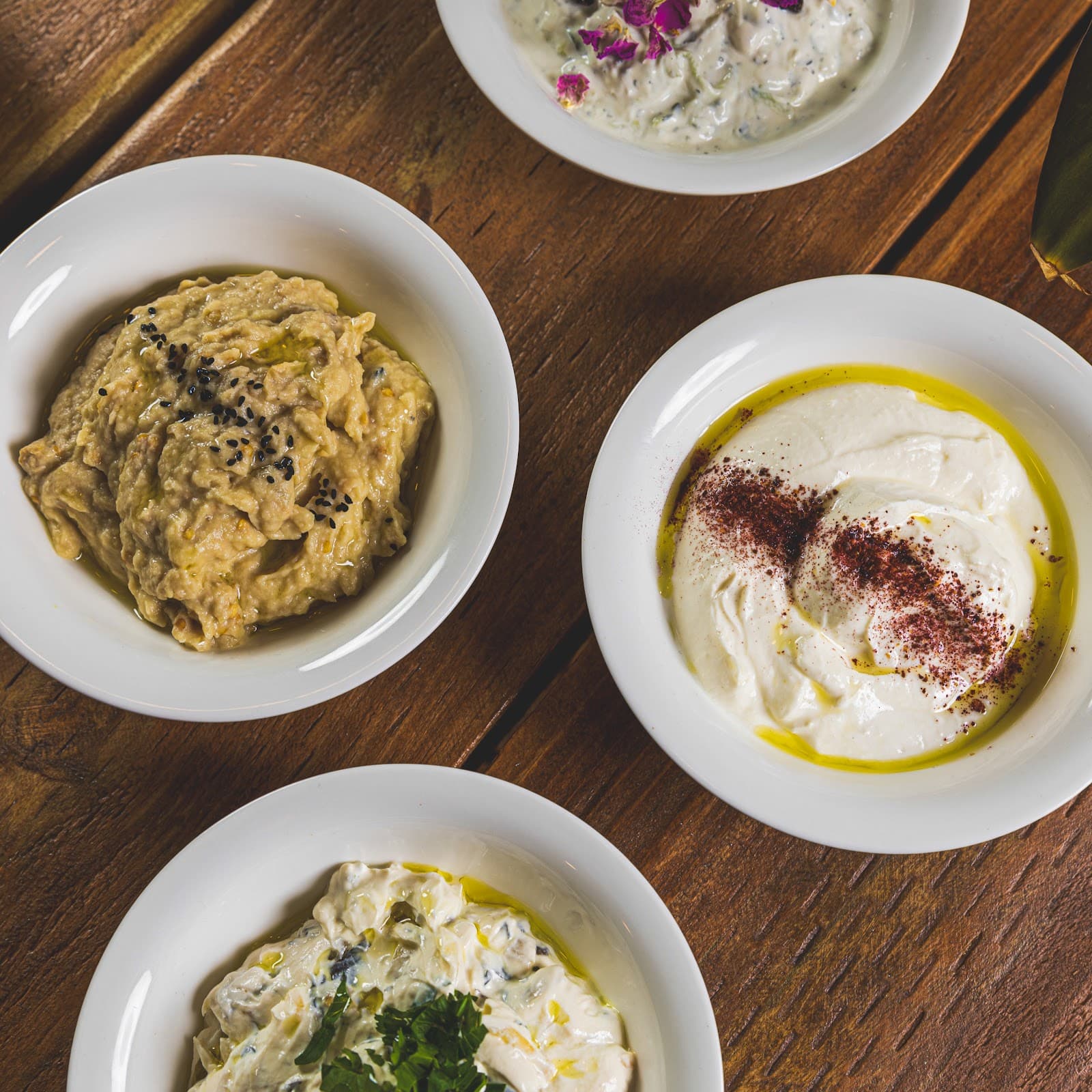 Shila Kitchen Balmain — Balmain, Sydney