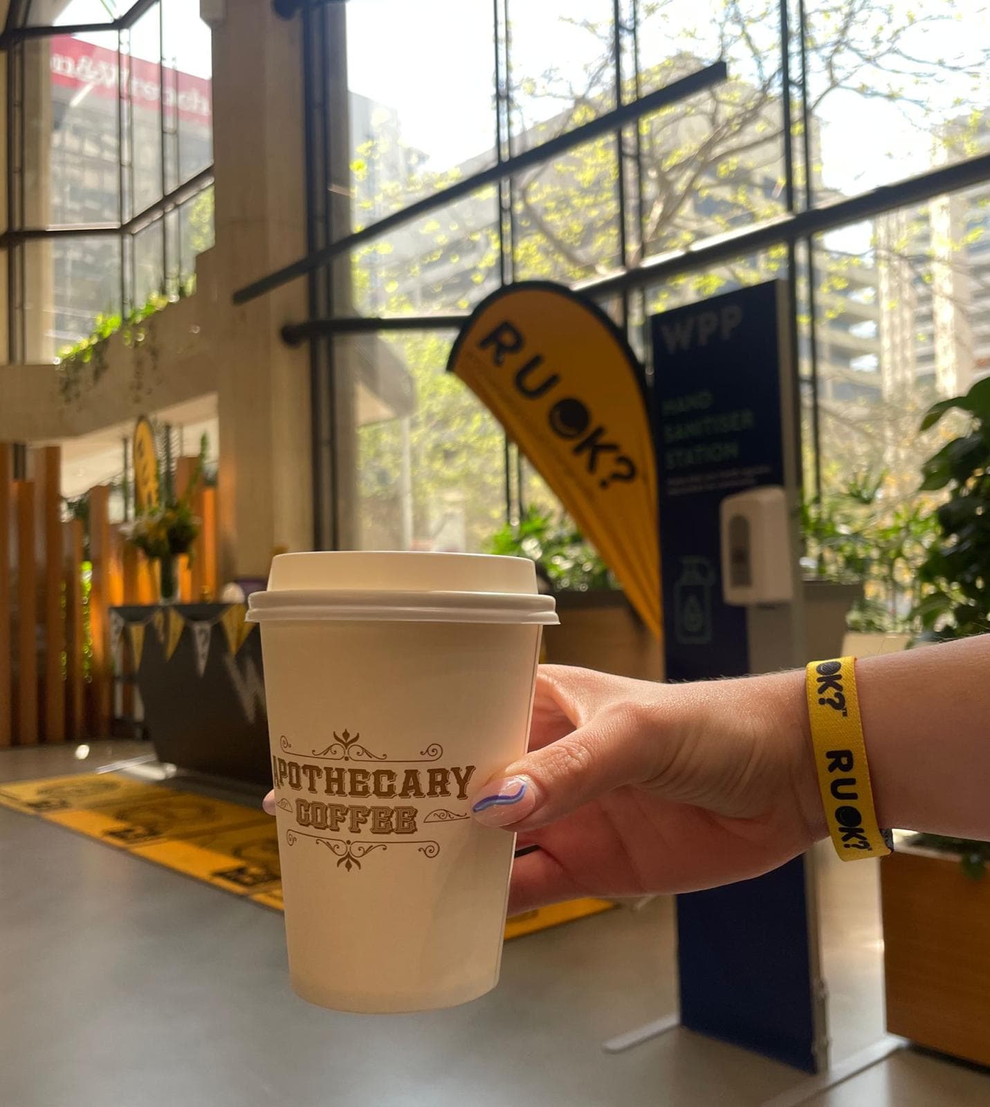 Apothecary Coffee Zenith — Chatswood, Sydney