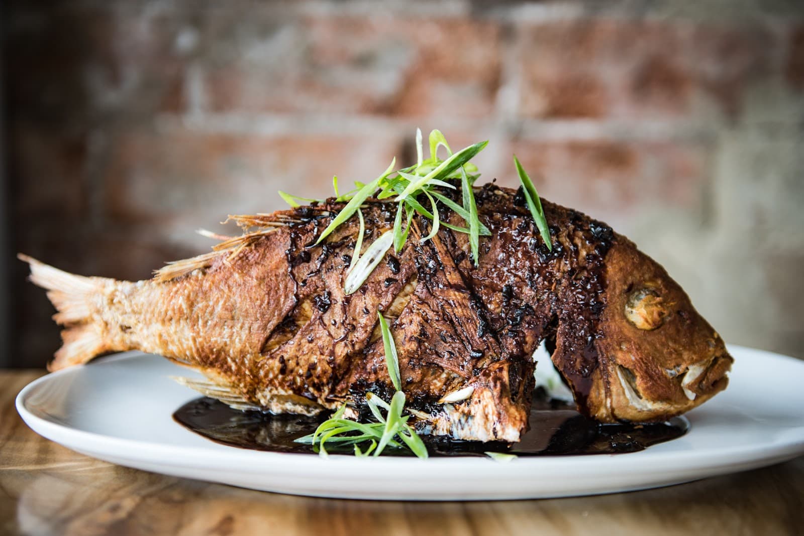 The Herring Room — Manly, Sydney