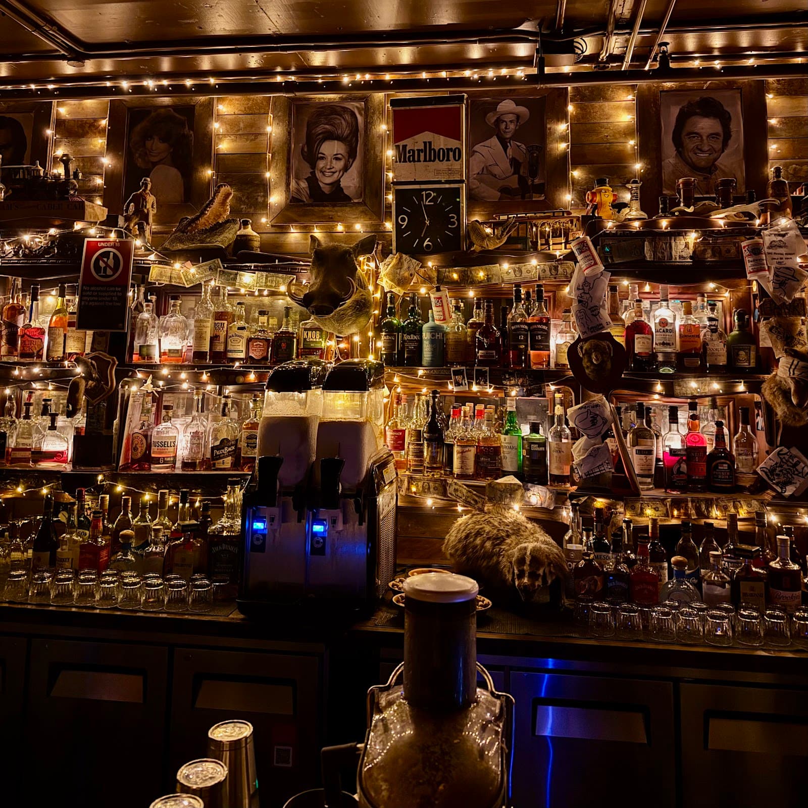 Shady Pines Saloon — Surry Hills, Sydney