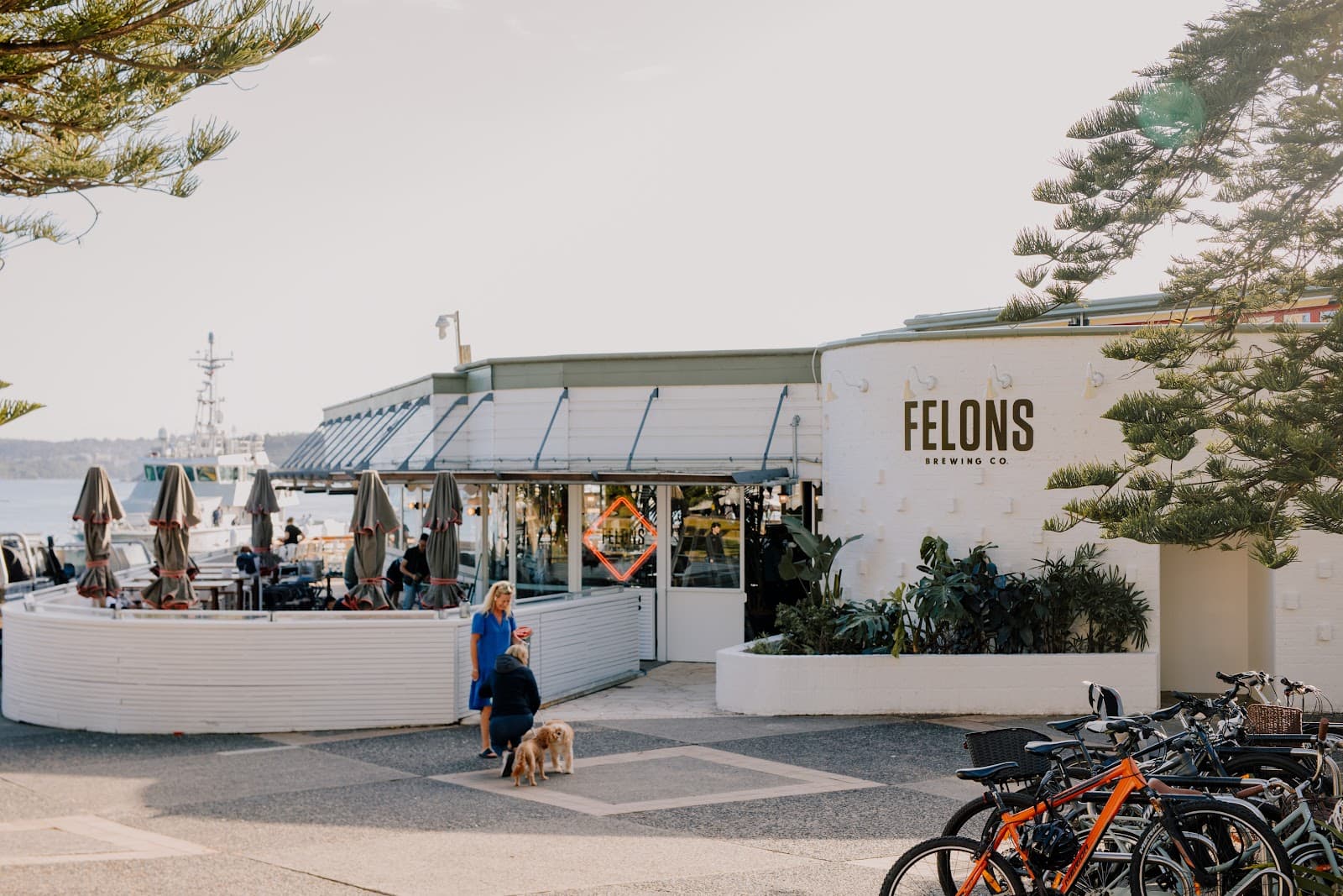 Felons Brewing Co. Manly — Manly, Sydney
