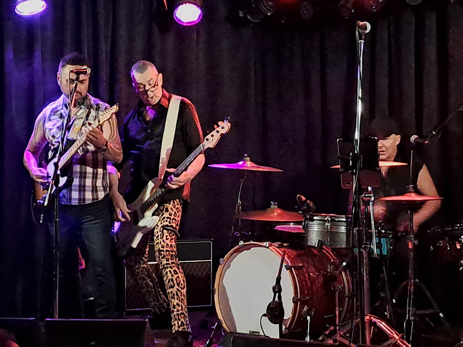 Brass Monkey Live Music Venue — Cronulla, Sydney