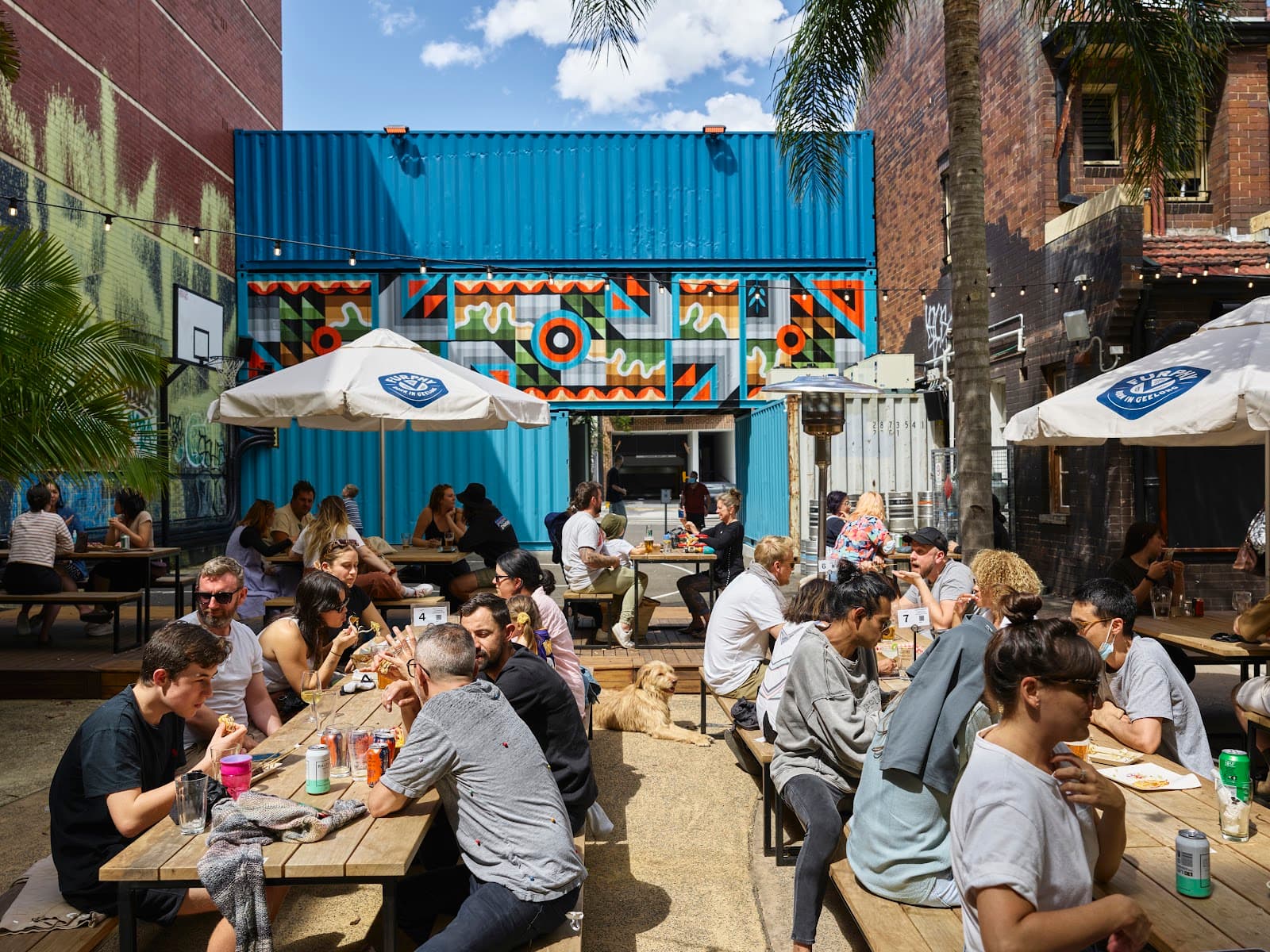 The Alex — Alexandria, Sydney