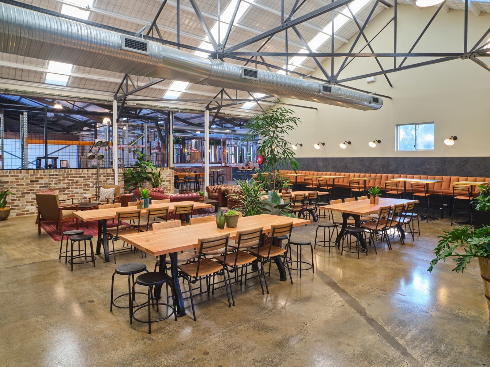 Chuck and Son's Brewing Co. — Newtown, Sydney
