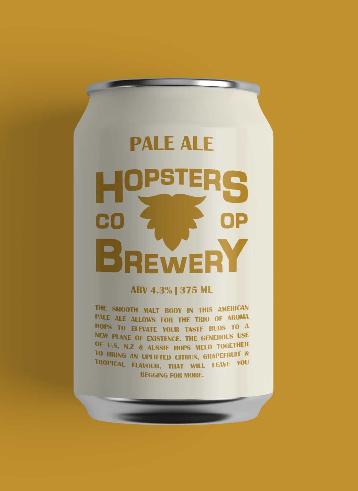 Hopsters Cooperative Brewery — Newtown, Sydney