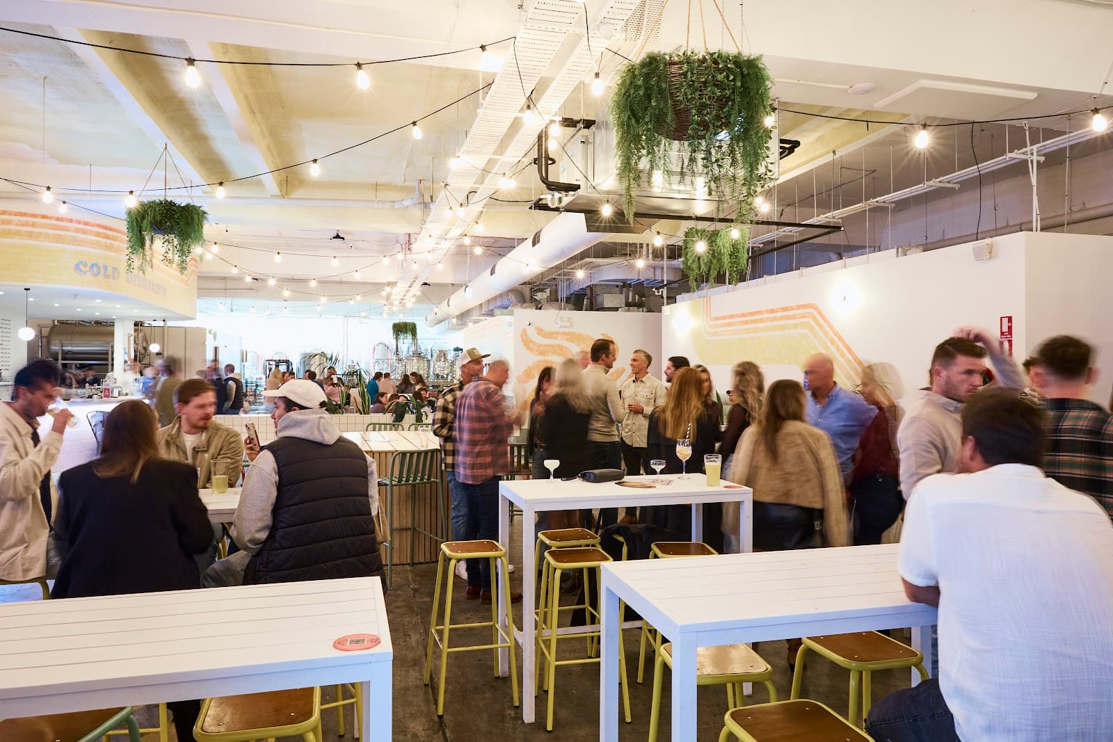 Freshwater Brewing Company — Manly, Sydney