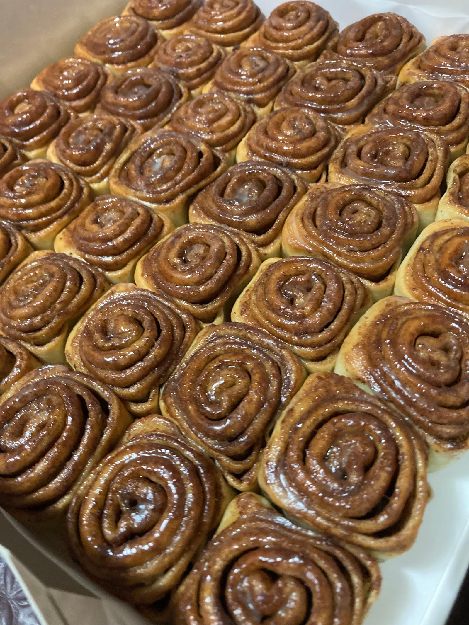 Box of Scrolls — Alexandria, Sydney