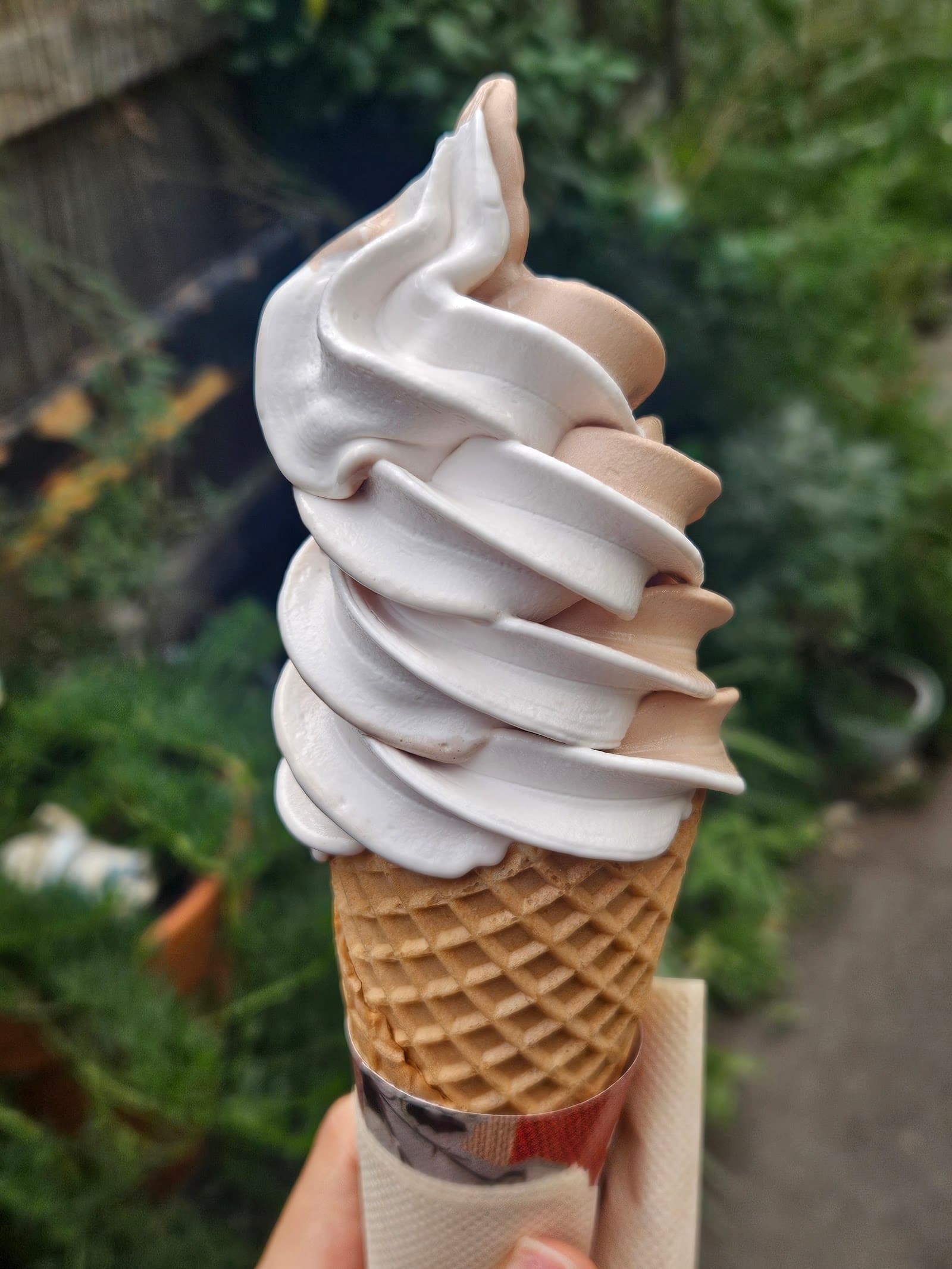 Everyday Creamery — Newtown, Sydney