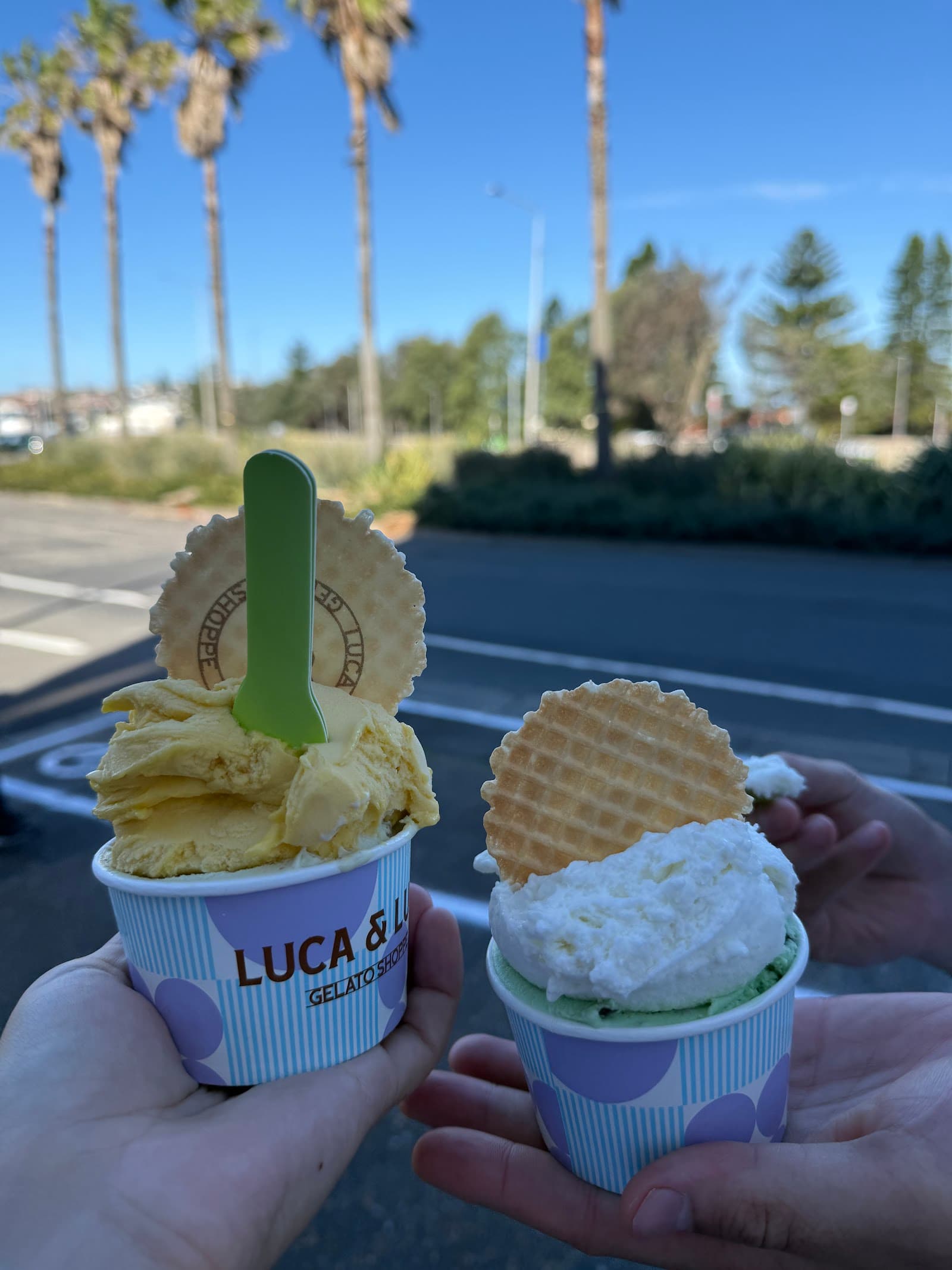 Luca & Luca Gelato — Bondi, Sydney