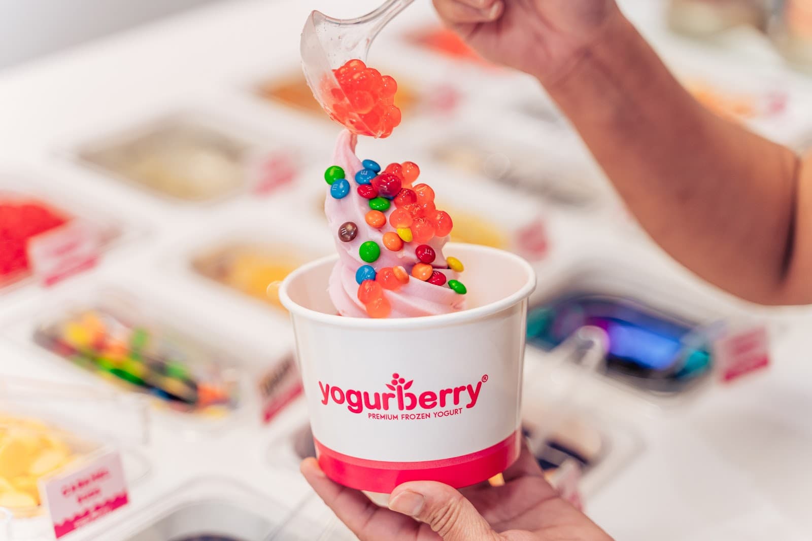 Yogurberry Bondi Beach — Bondi, Sydney