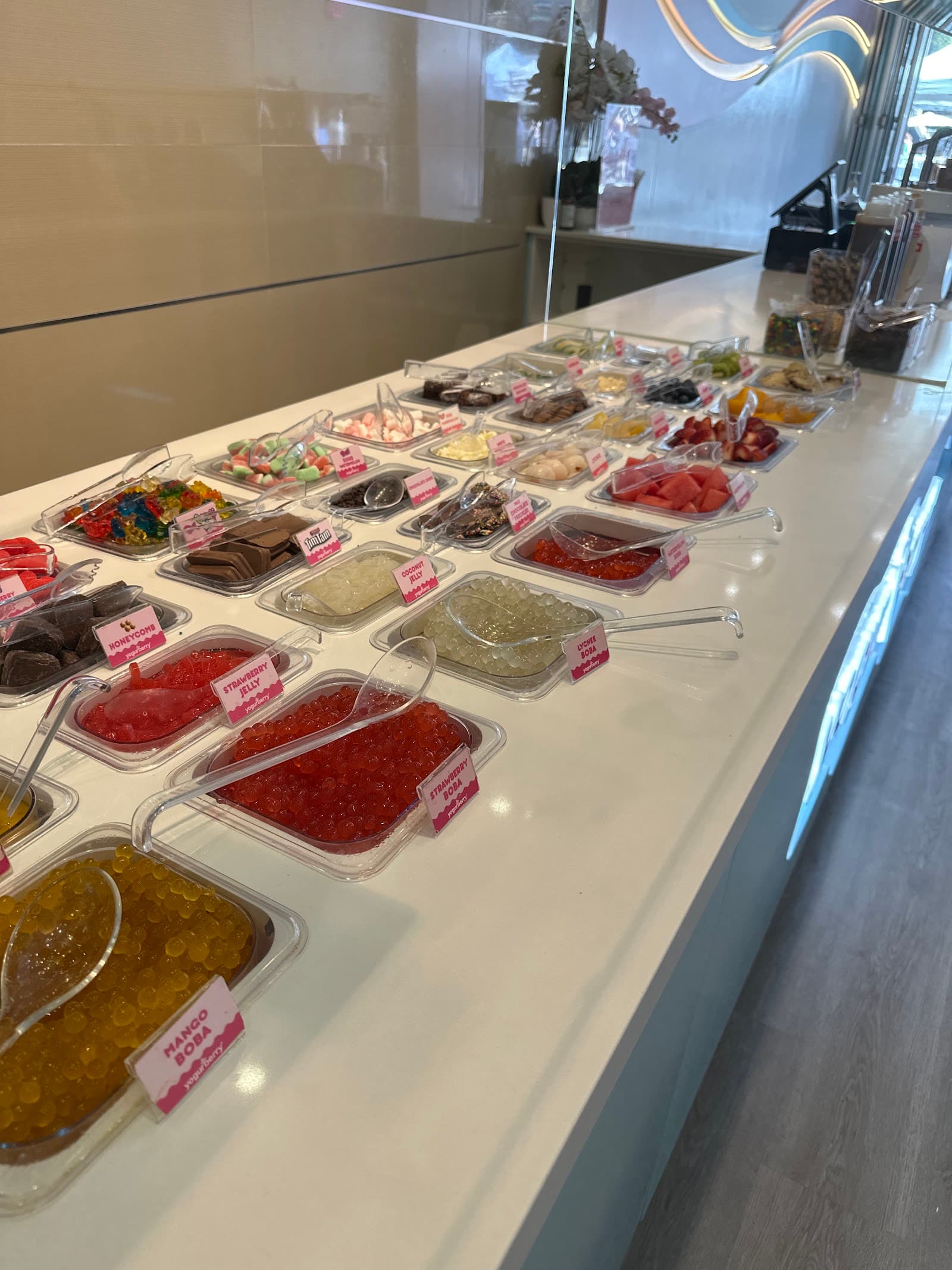 Yogurberry Manly — Manly, Sydney