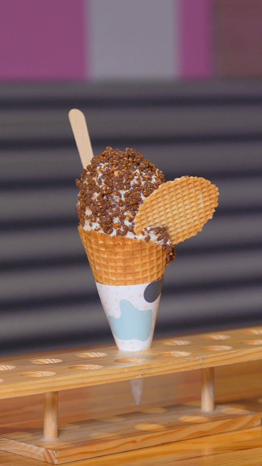 Custard & Co — Paddington, Sydney