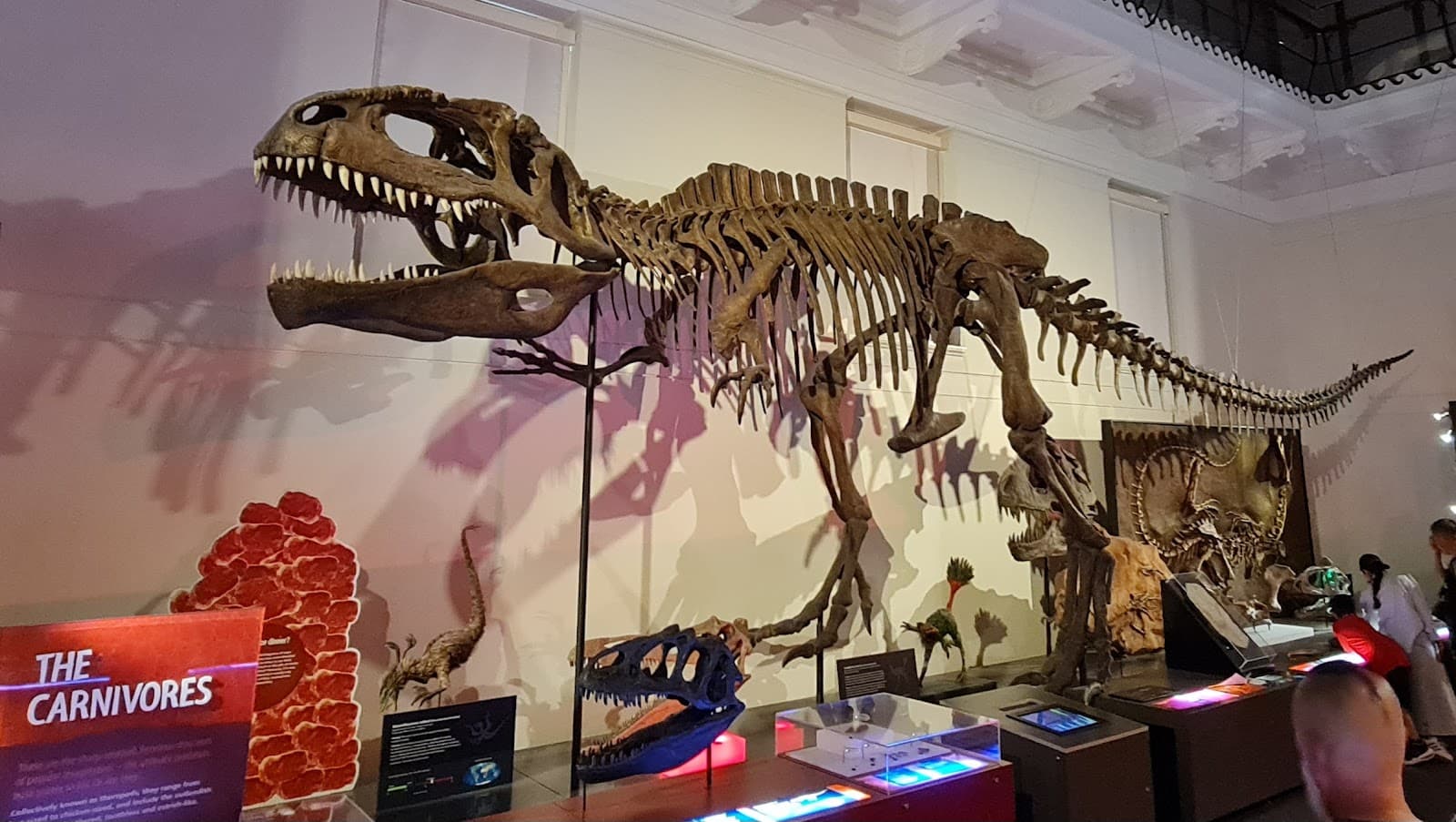 Australian Museum Shop — Coogee, Sydney