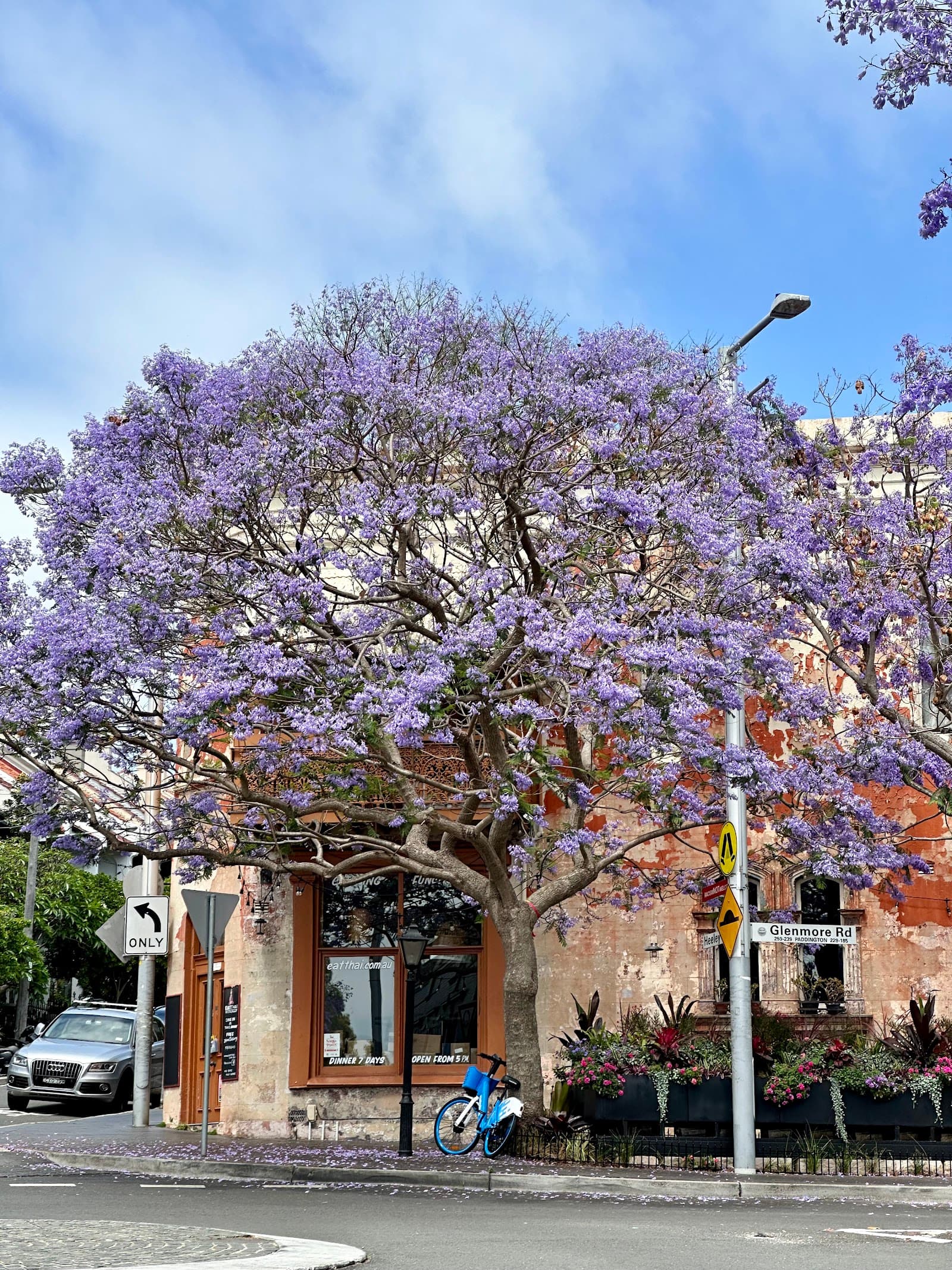Fiveways Paddington — Paddington, Sydney
