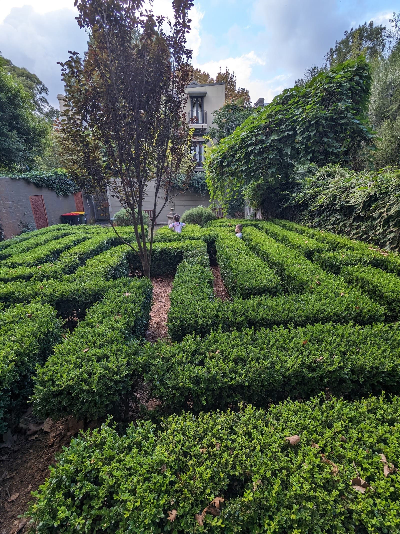 Neild Avenue Maze — Paddington, Sydney