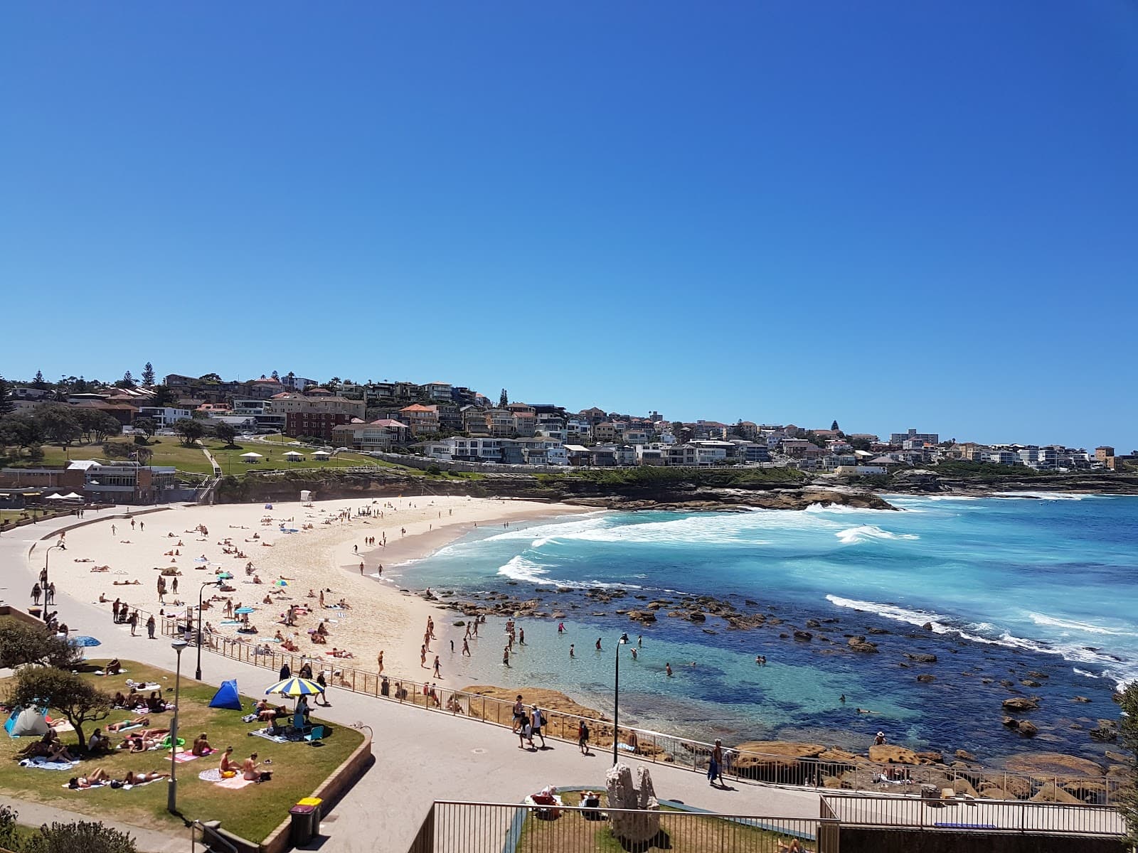 Bondi to Coogee Walk — Coogee, Sydney