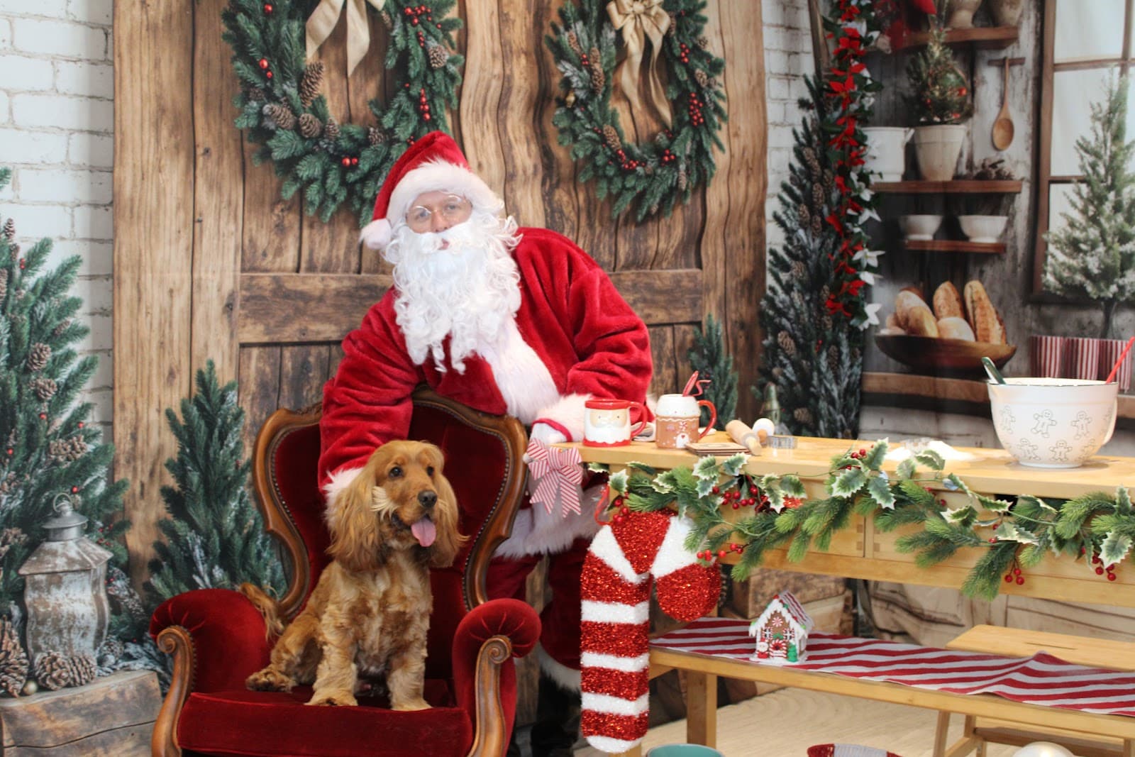 Santa Pics Photos Sydney — Coogee, Sydney