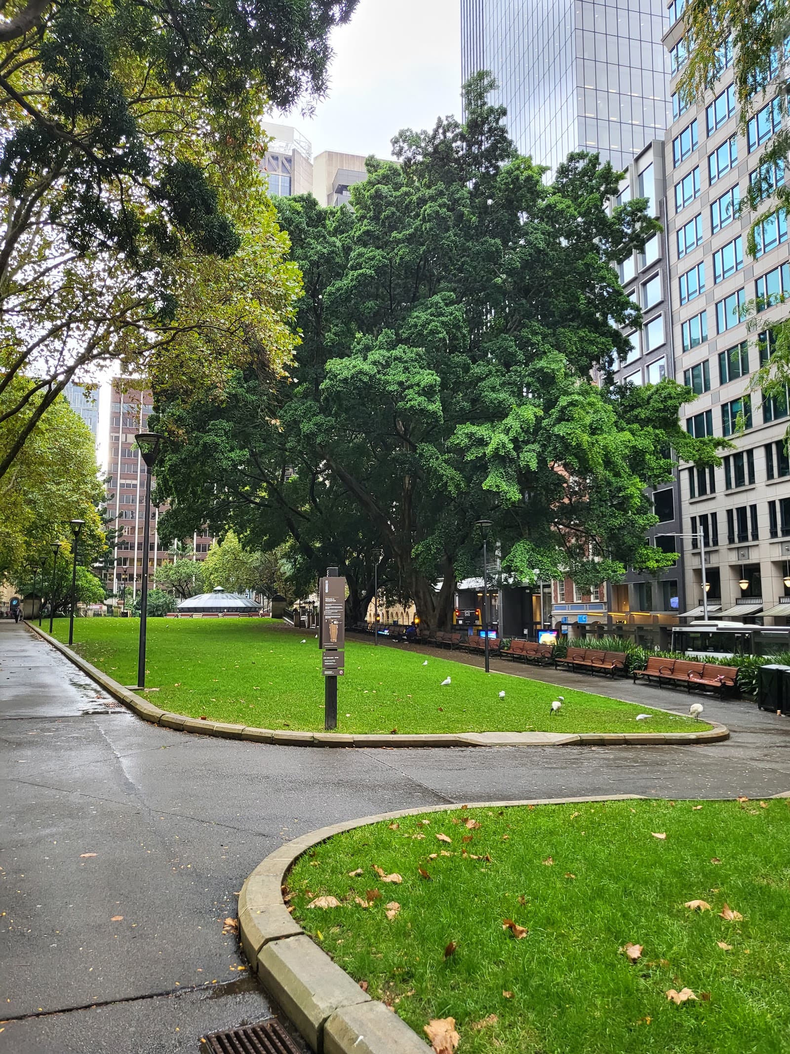 Wynyard Park — The Rocks, Sydney