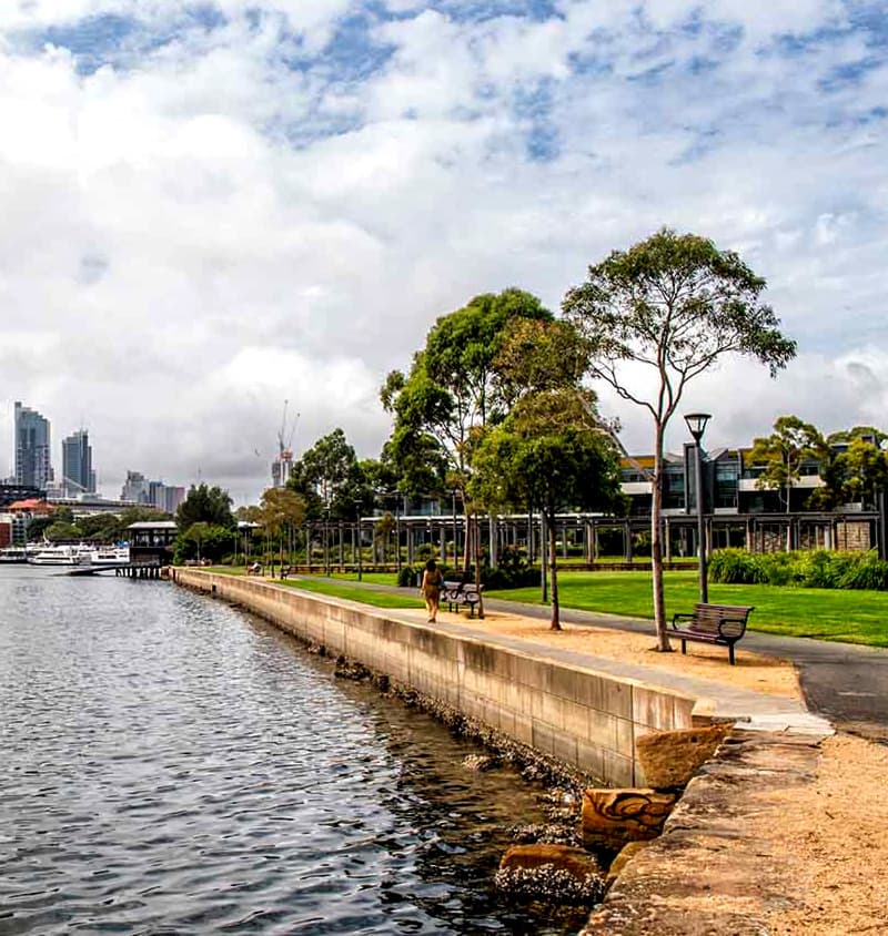 Blackwattle Bay Park — Sydney CBD, Sydney