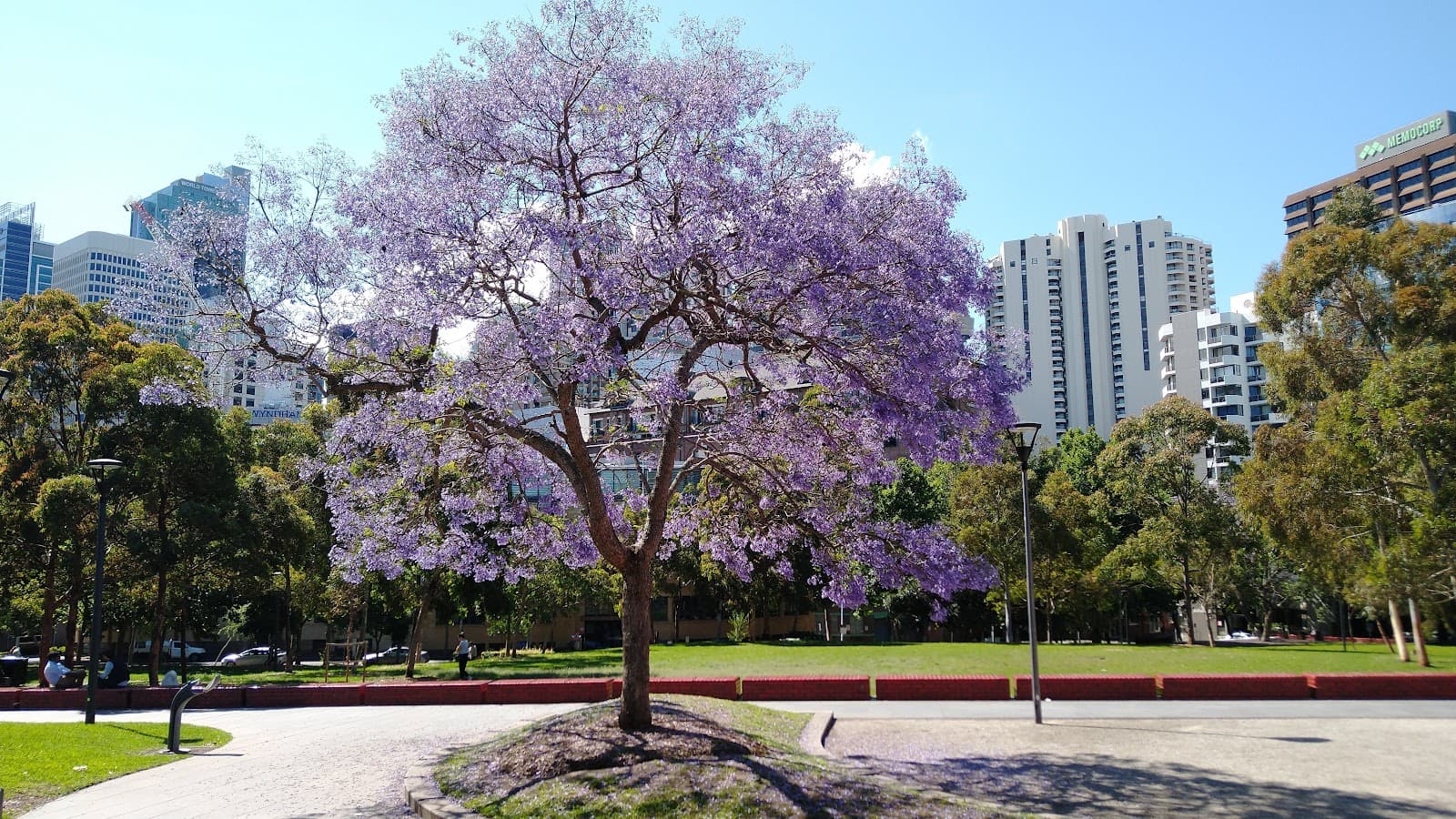 Harmony Park — Surry Hills, Sydney