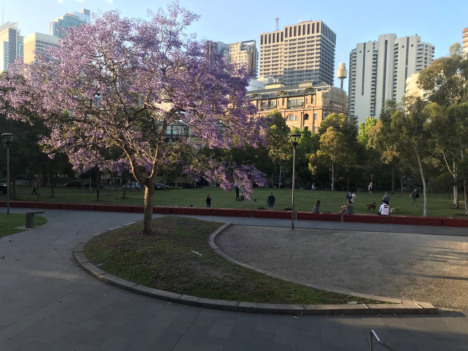 Harmony Park — Surry Hills, Sydney