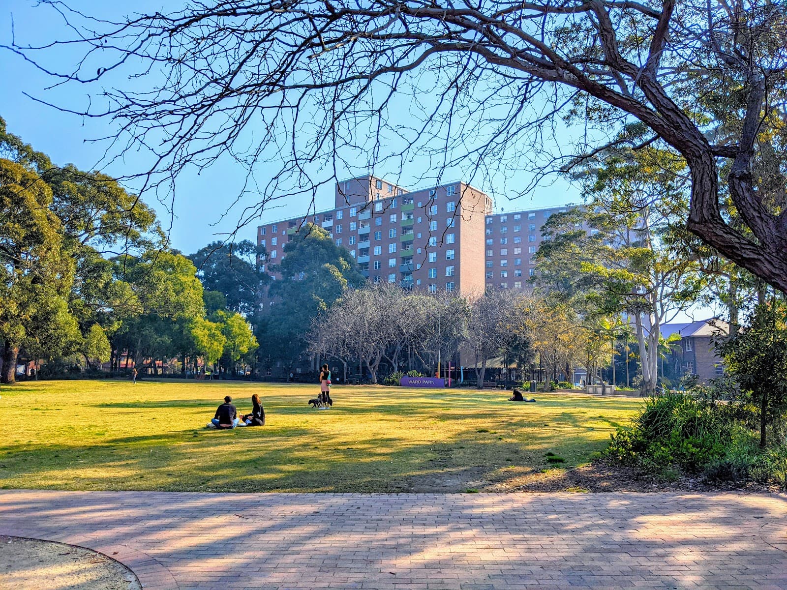 Ward Park — Surry Hills, Sydney