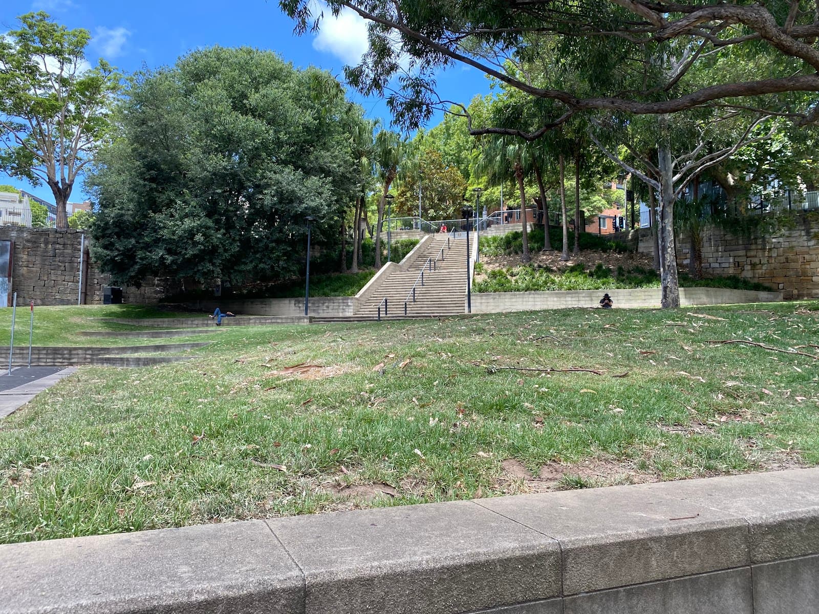 Frog Hollow Reserve — Surry Hills, Sydney