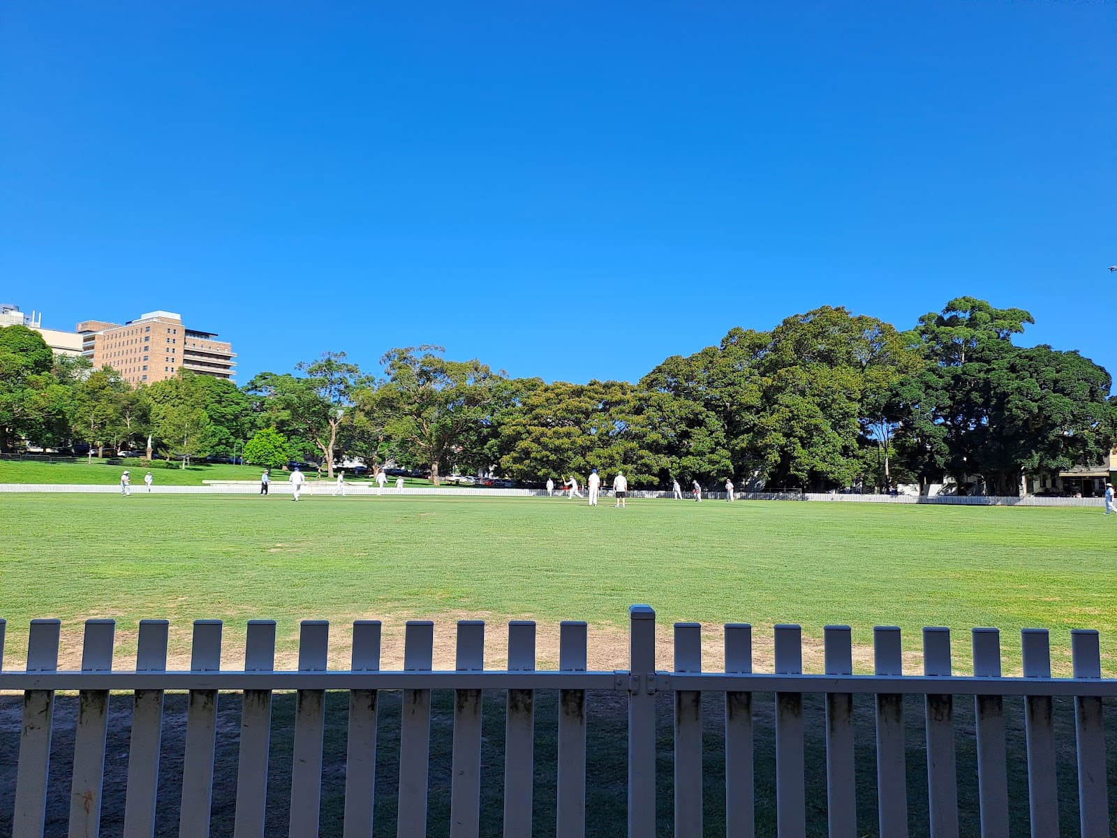 Camperdown Park — Newtown, Sydney