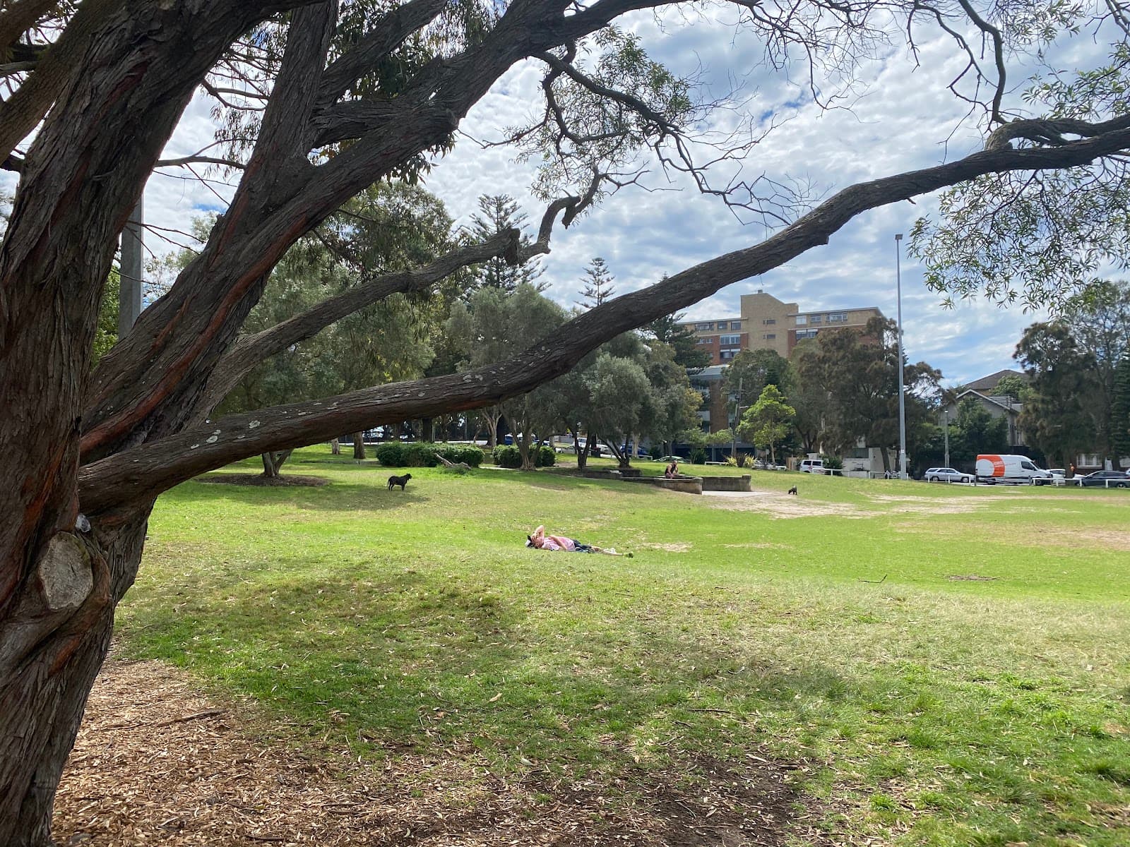 Barracluff Park — Bondi, Sydney