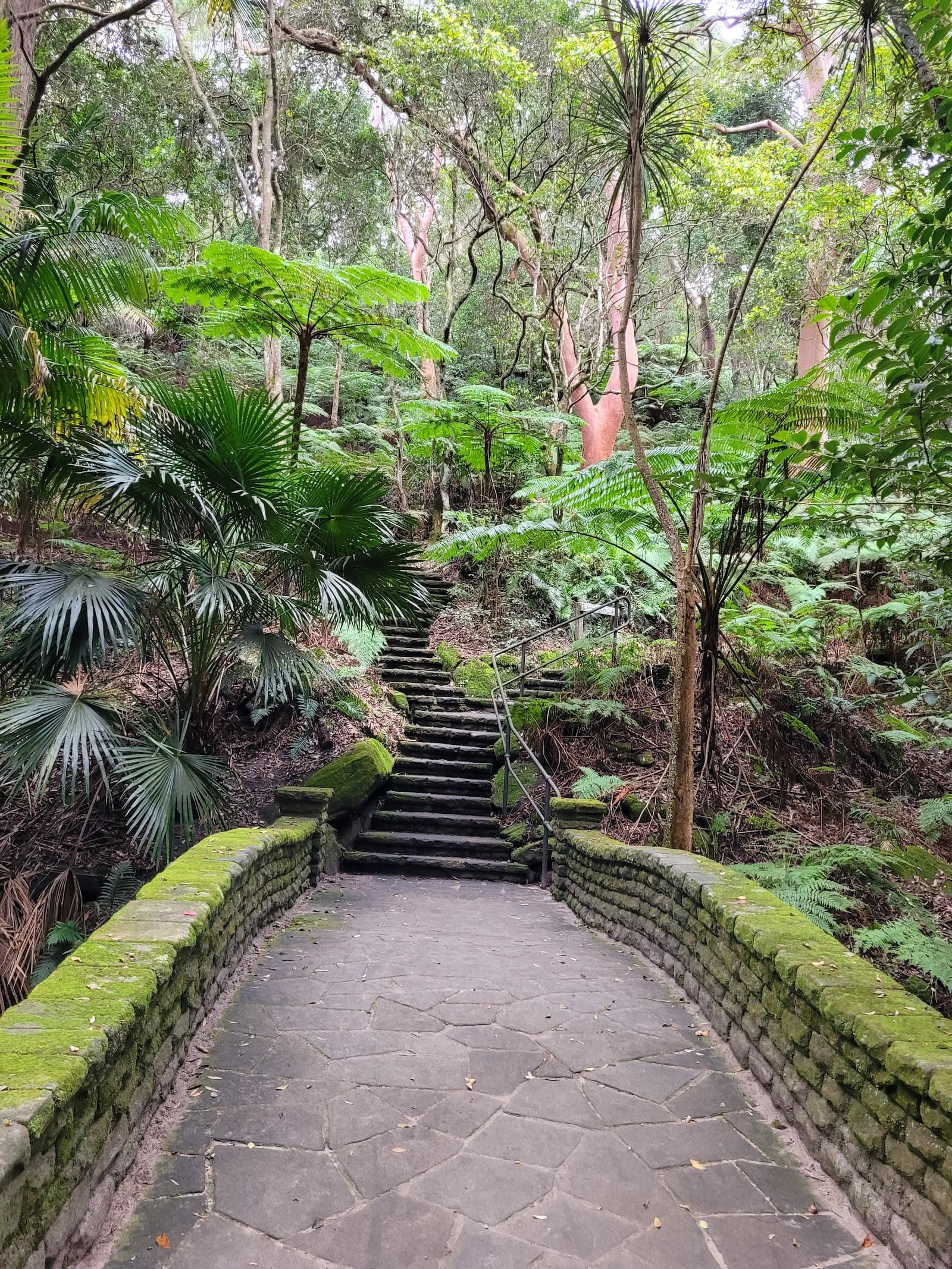 Cooper Park — Bondi, Sydney