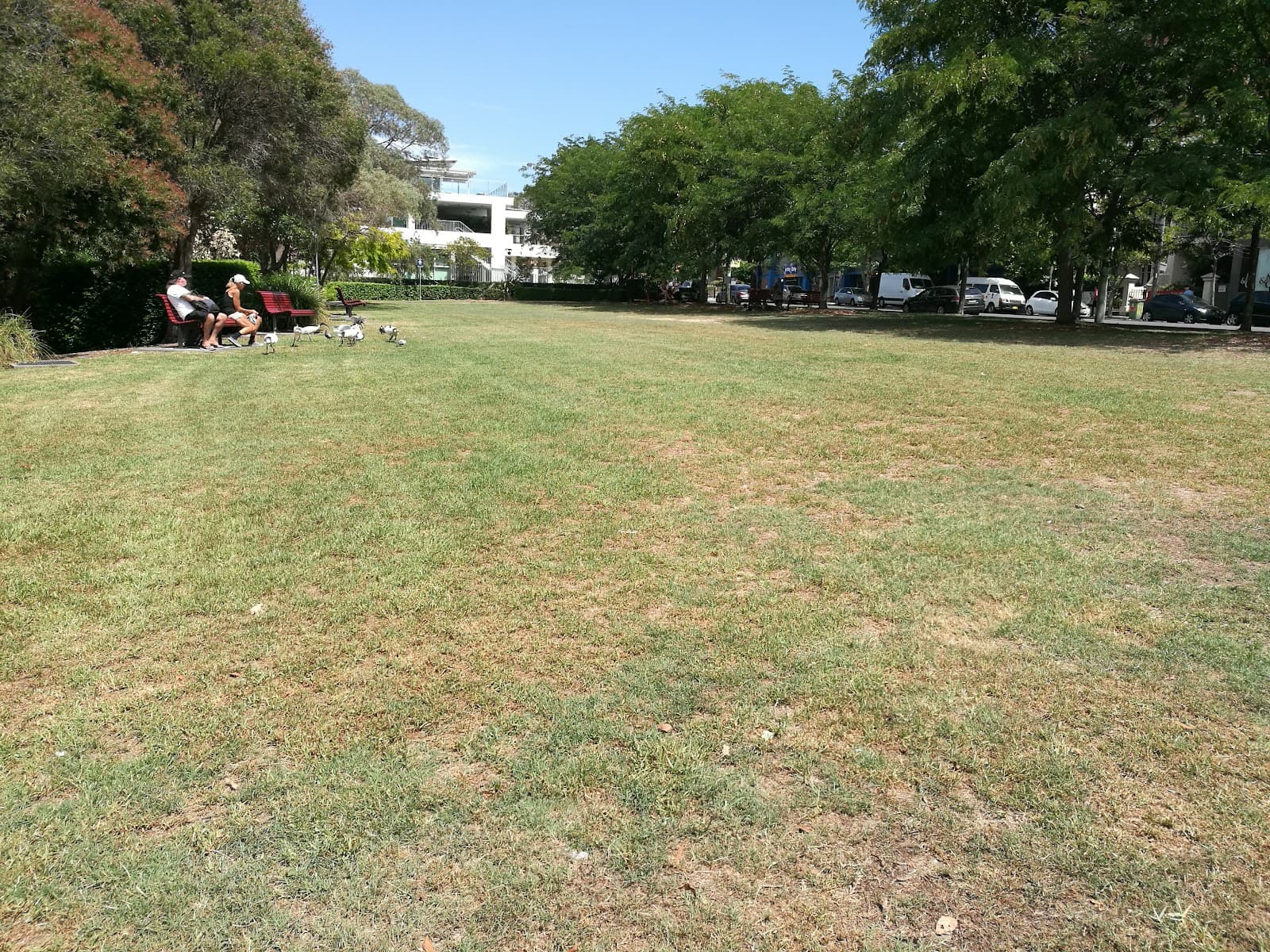 Clementson Park — Bondi, Sydney