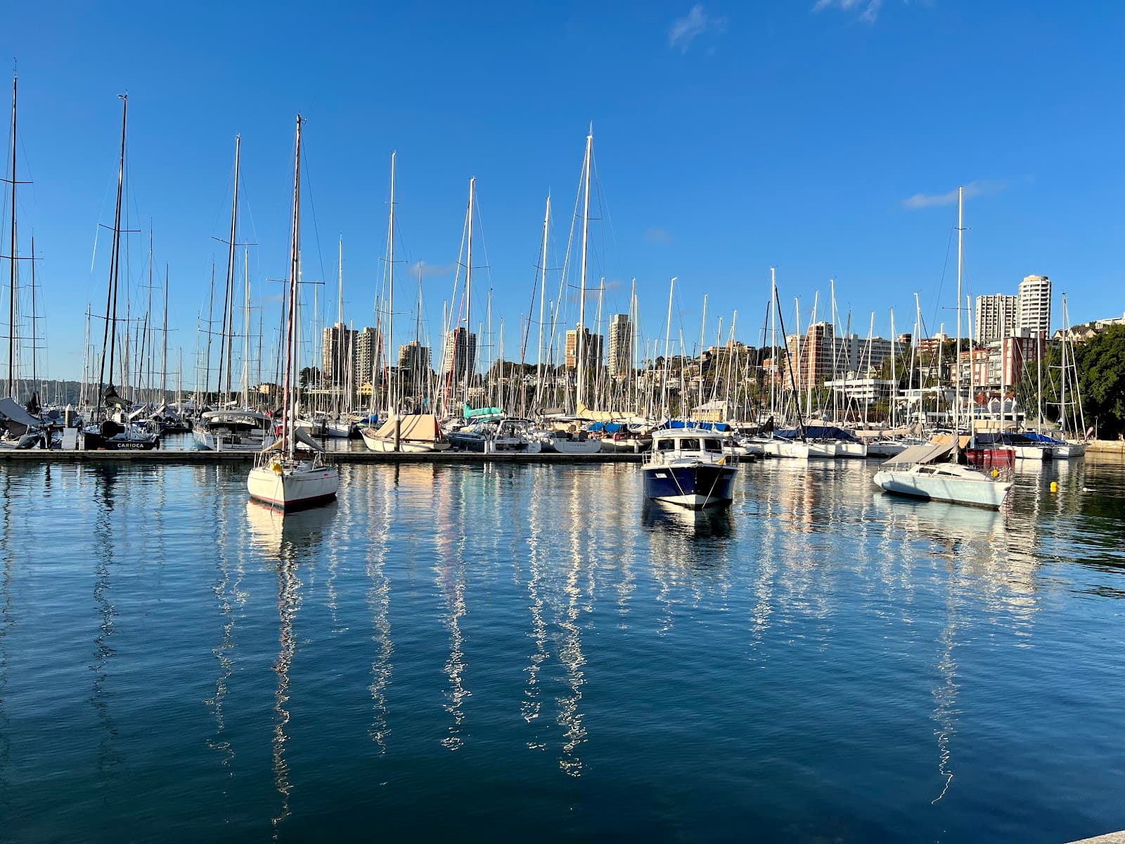 Rushcutters Bay Park — Paddington, Sydney