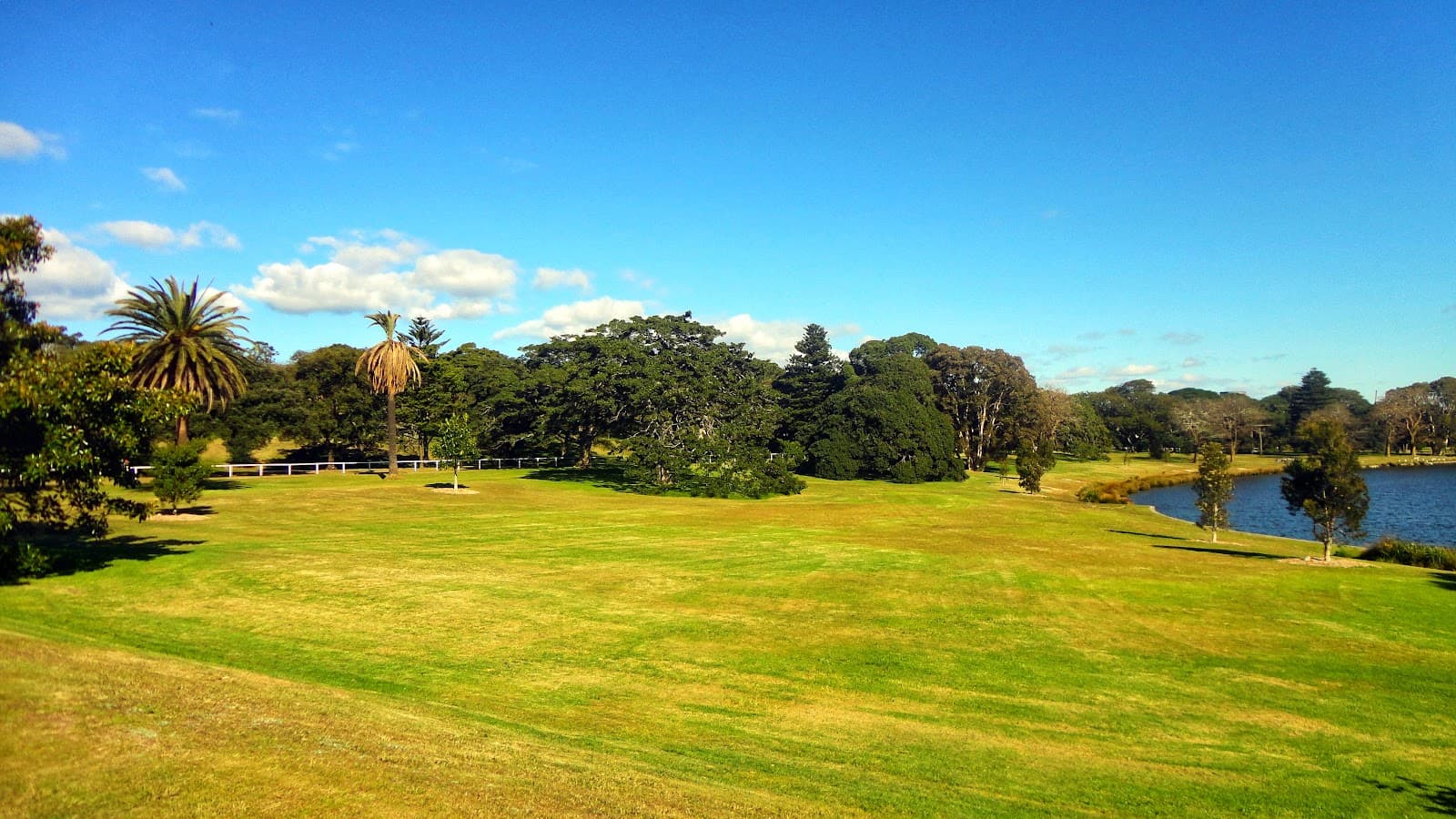 Centennial Parklands — Bondi, Sydney