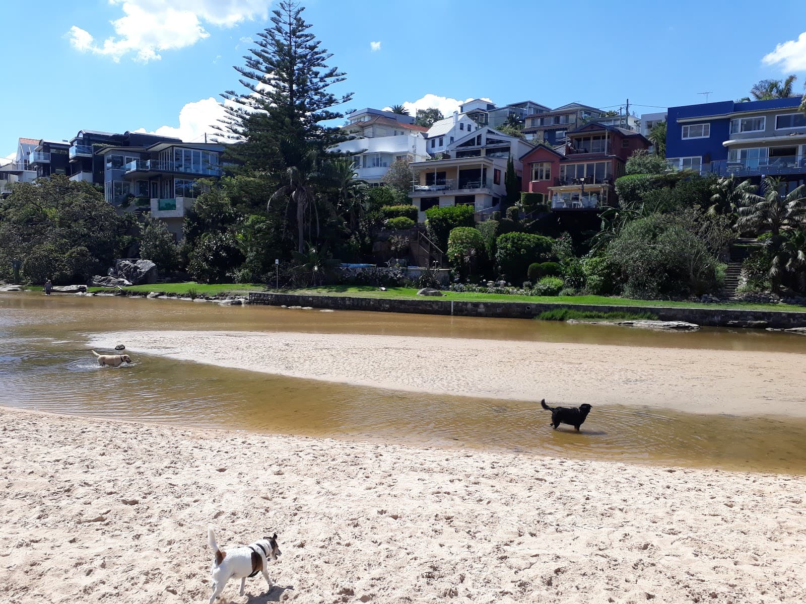Lagoon Reserve, Queenscliff — Manly, Sydney