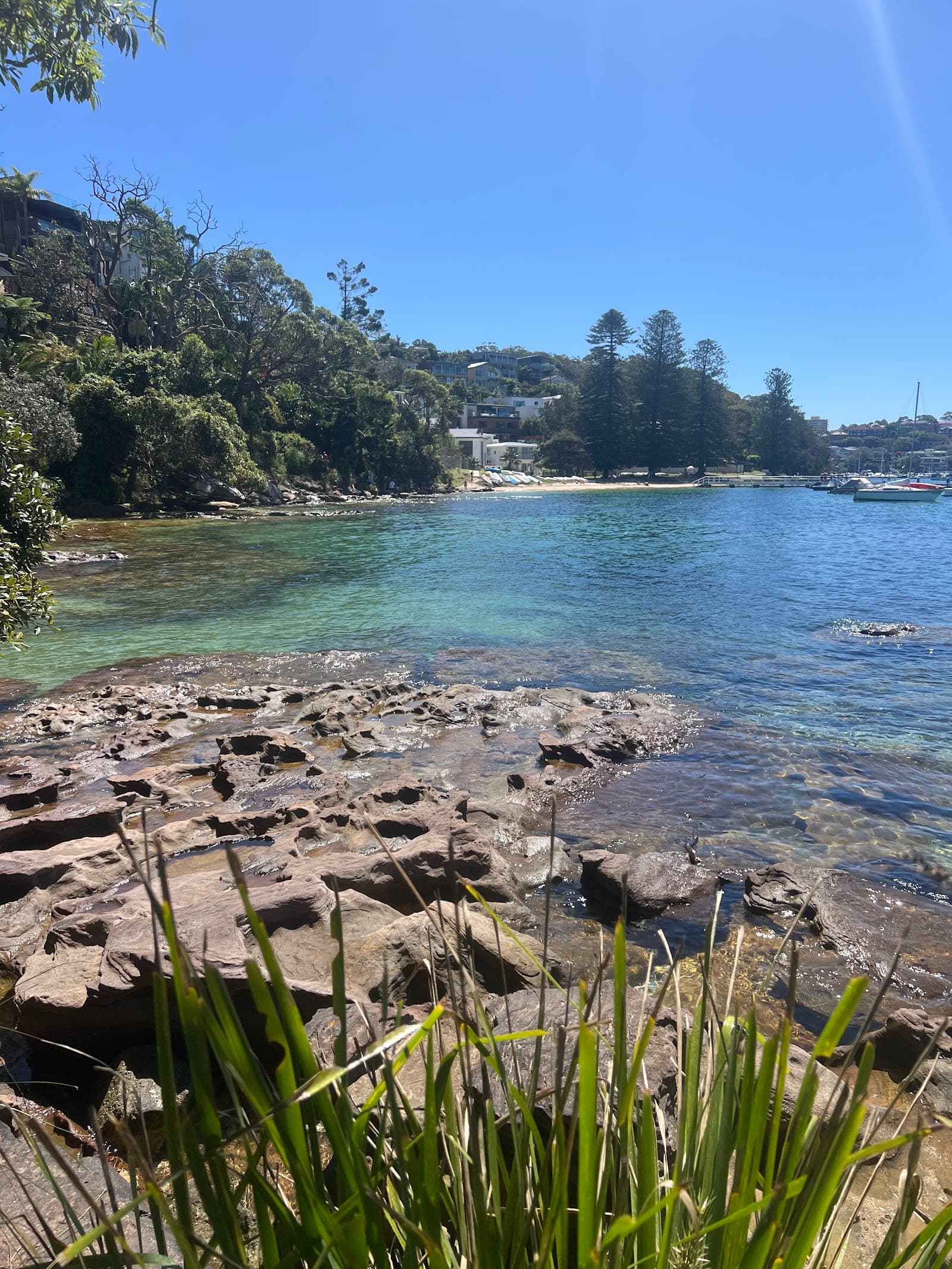 Manly To Spit Bridge Coastal Walk — Manly, Sydney
