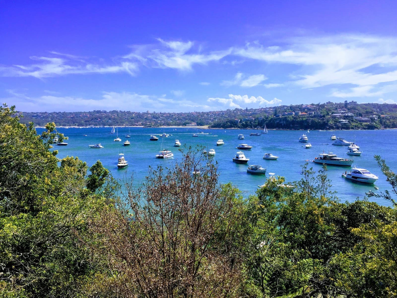 Manly To Spit Bridge Coastal Walk — Manly, Sydney