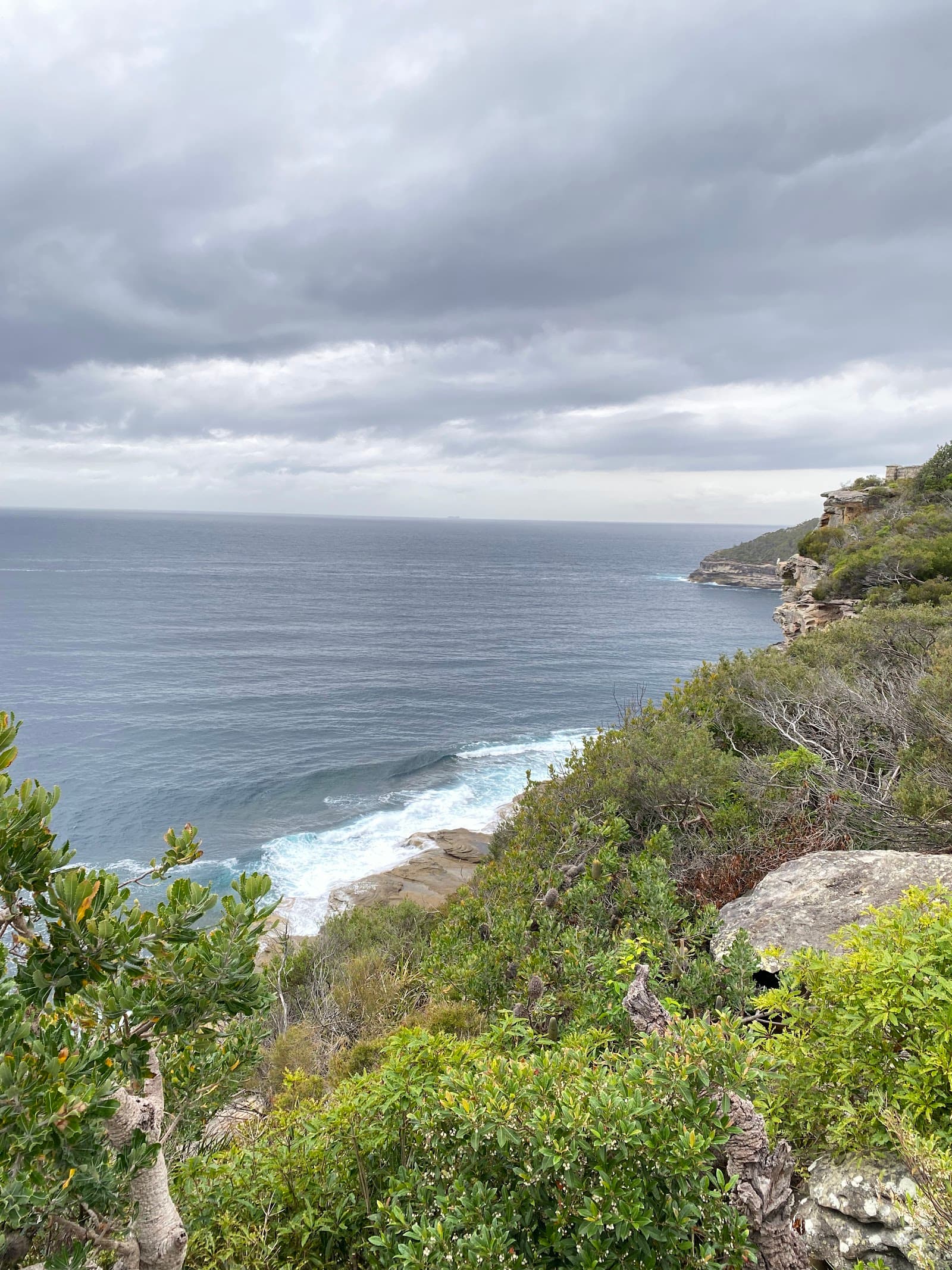 Old Quarry Swamp — Manly, Sydney