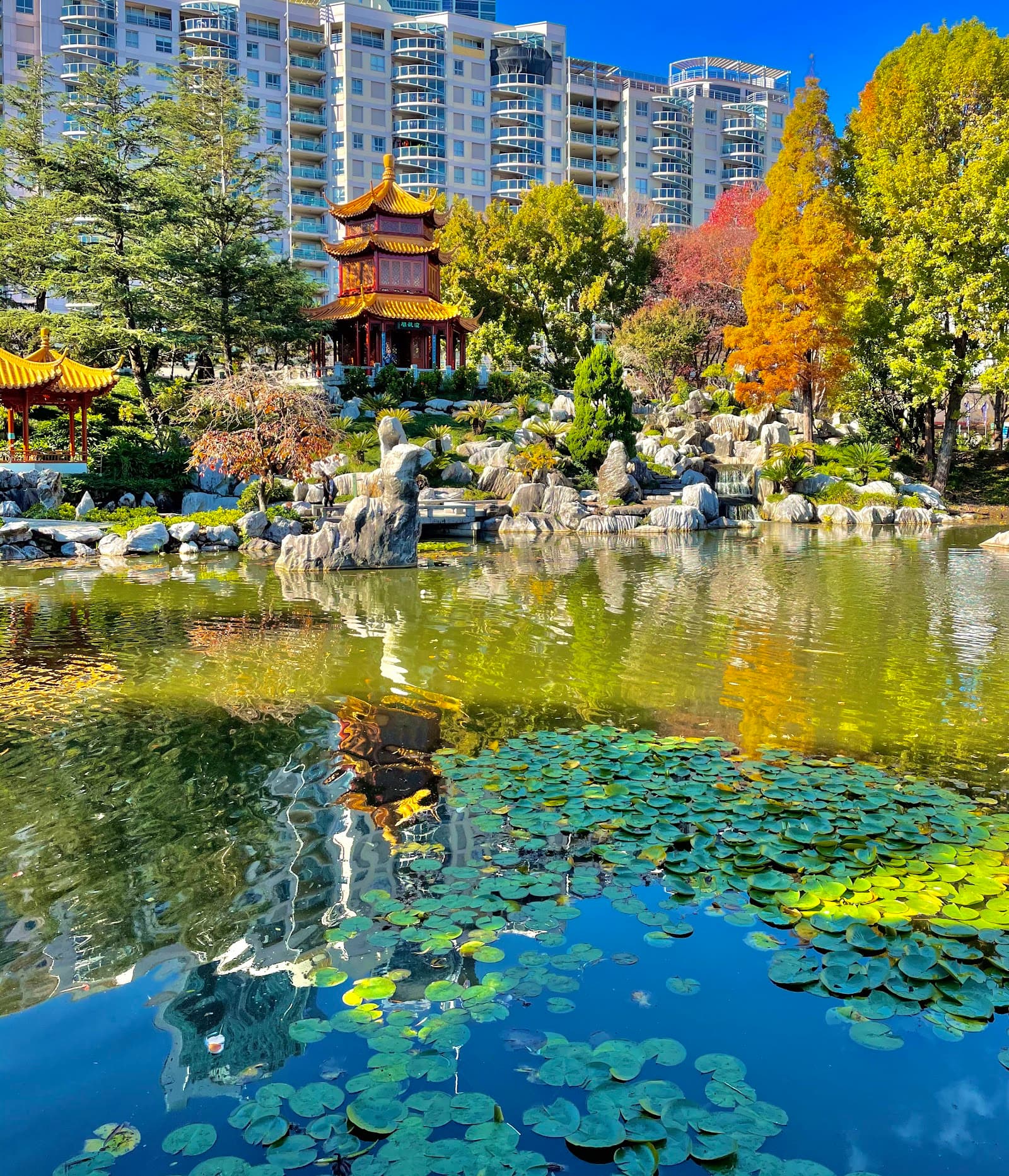 Chinese Garden of Friendship — Darling Harbour, Sydney