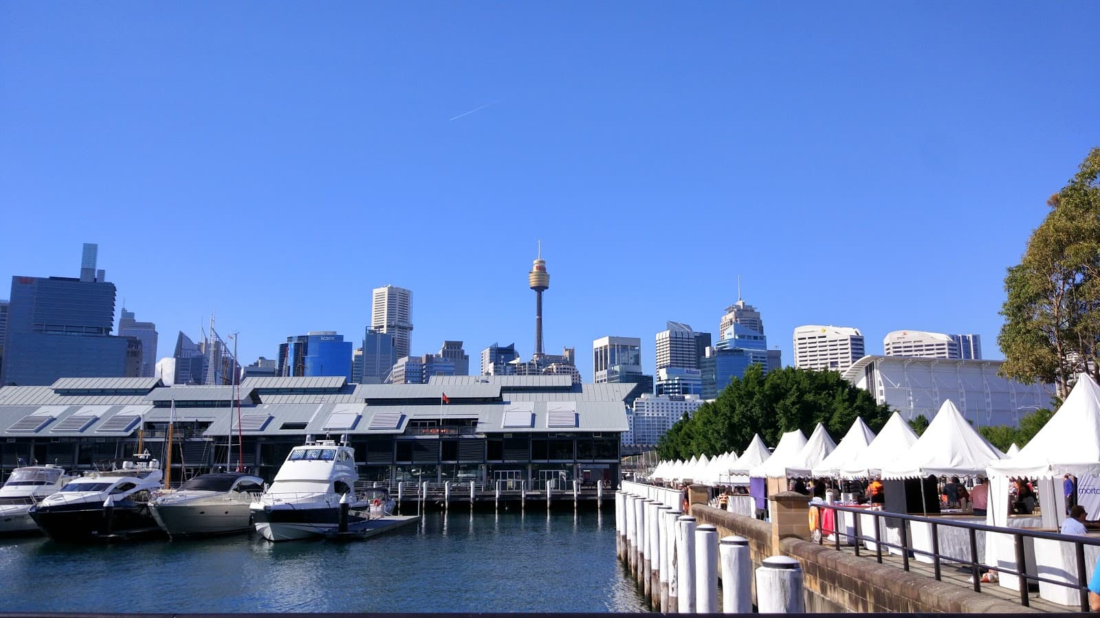 Pyrmont Bay Park — Darling Harbour, Sydney