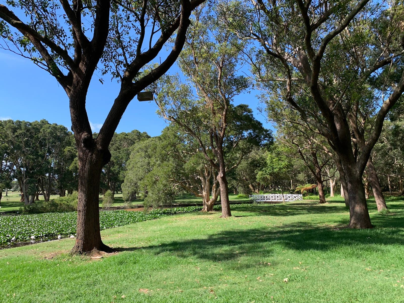Centennial Playground Paddington Gates — Paddington, Sydney