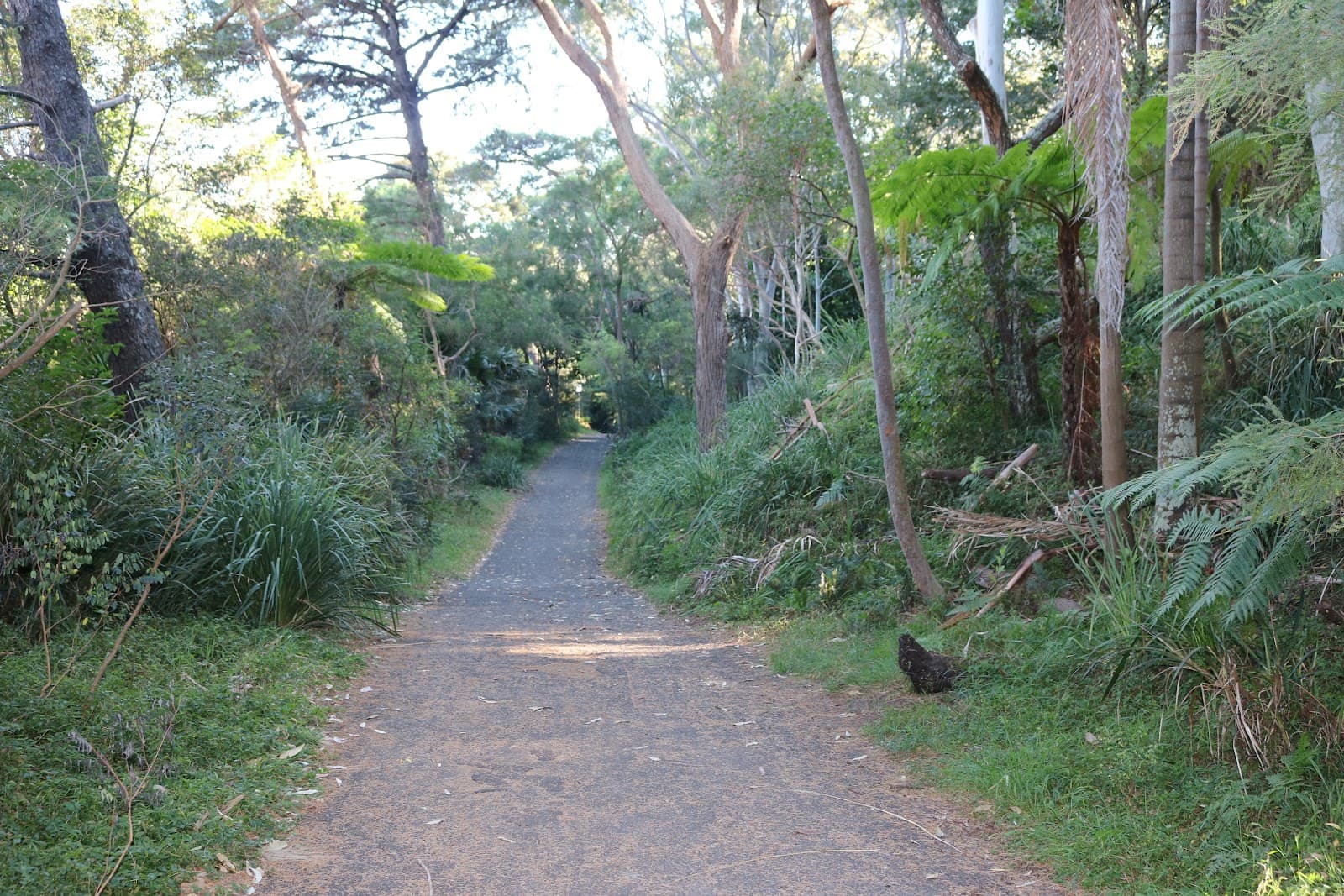 Trumper Park — Paddington, Sydney
