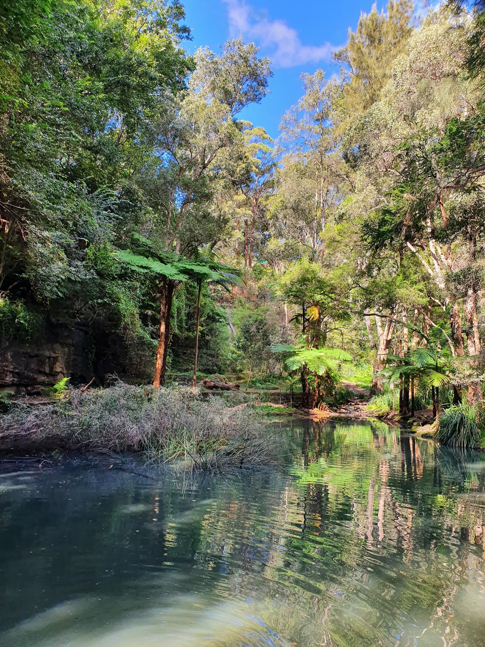 Trumper Park — Paddington, Sydney